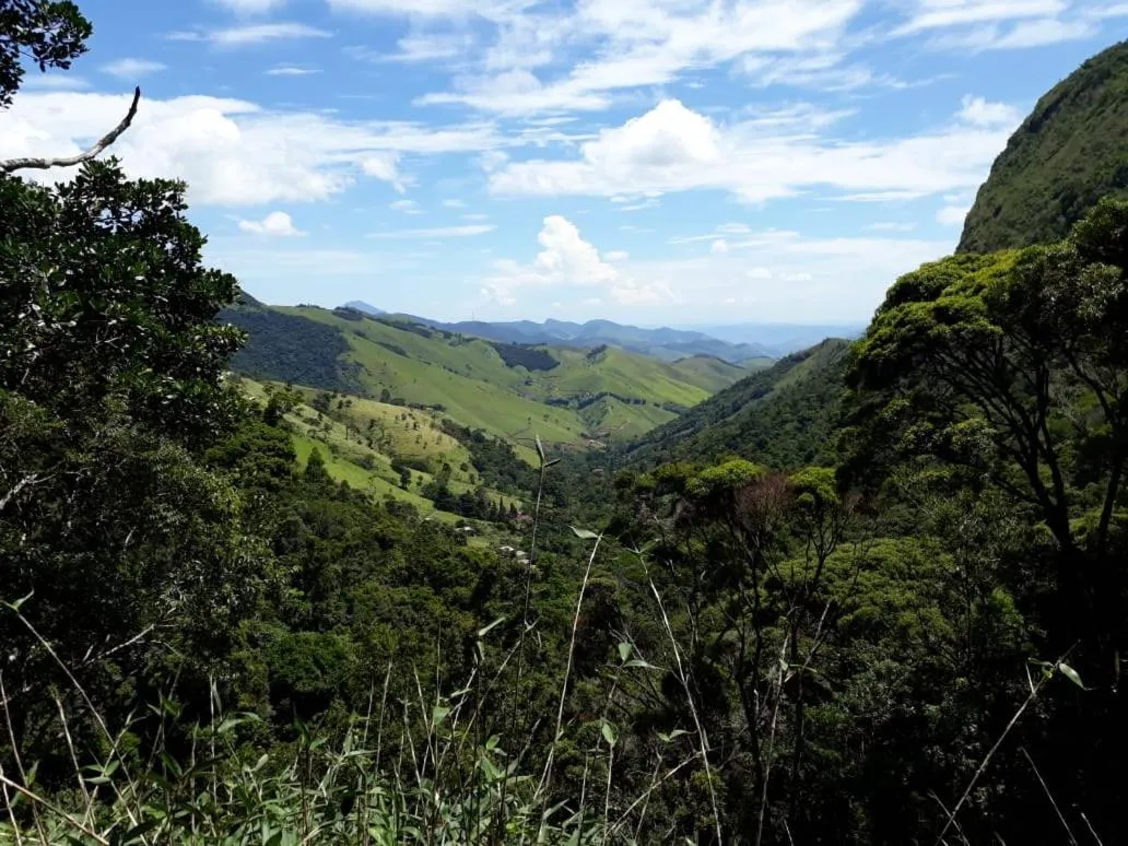 Hiking in Chales Bamboo Jungle