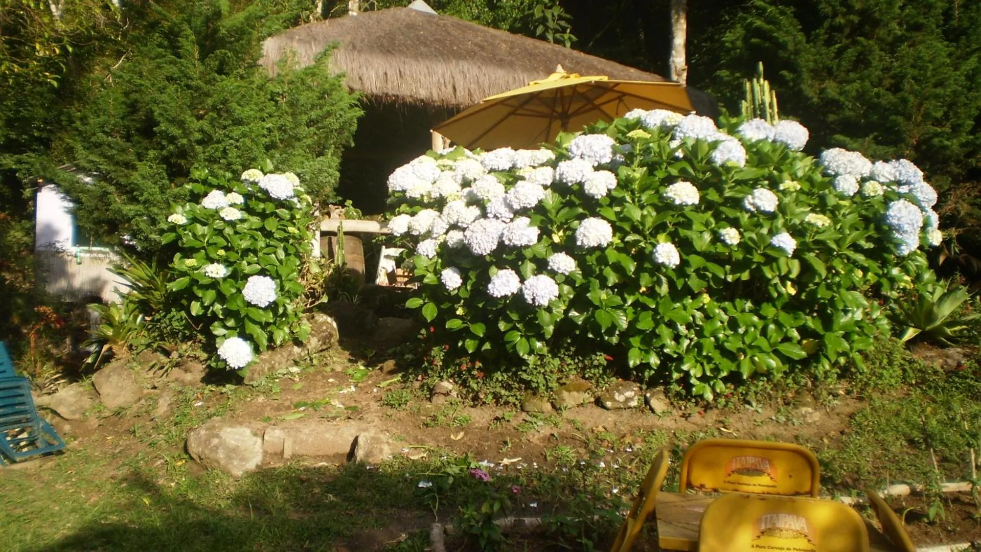 Garden view in Chales Bamboo Jungle