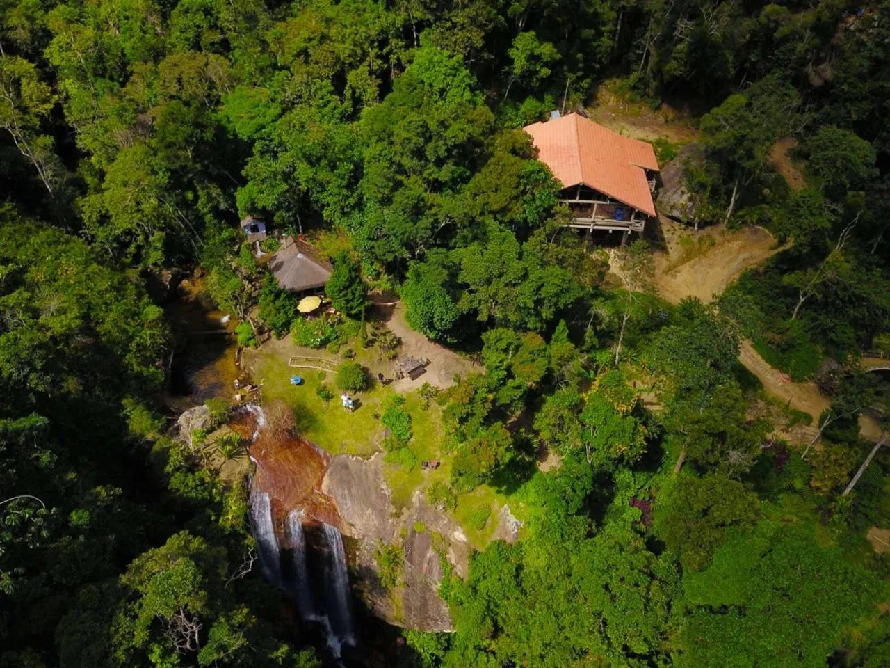 Bird's eye view in Chales Bamboo Jungle