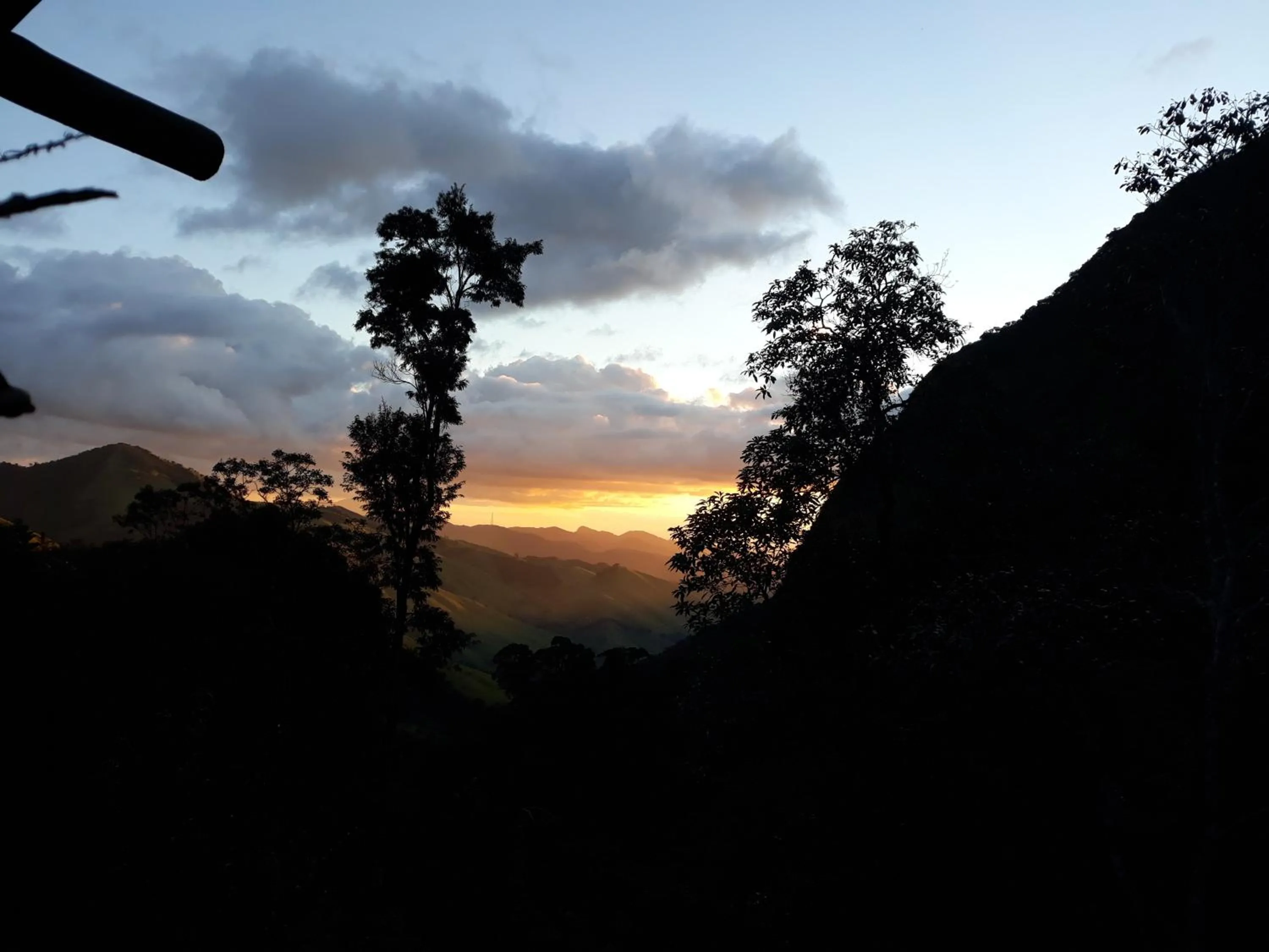 Natural landscape in Chales Bamboo Jungle