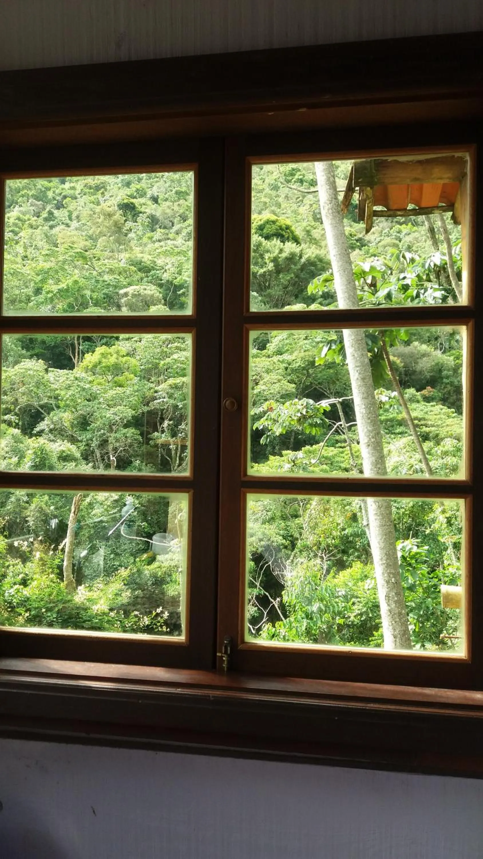 Garden view in Chales Bamboo Jungle