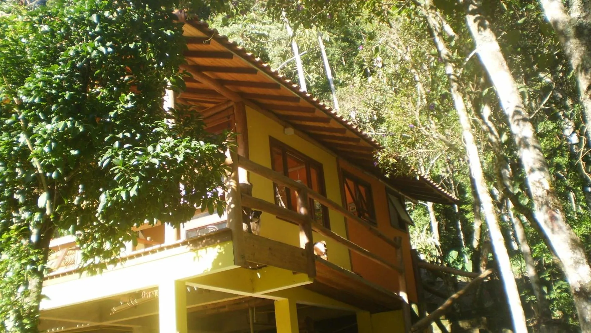 Facade/entrance in Chales Bamboo Jungle