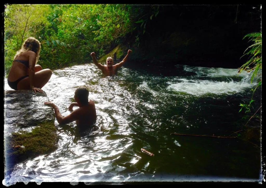 People in Chales Bamboo Jungle