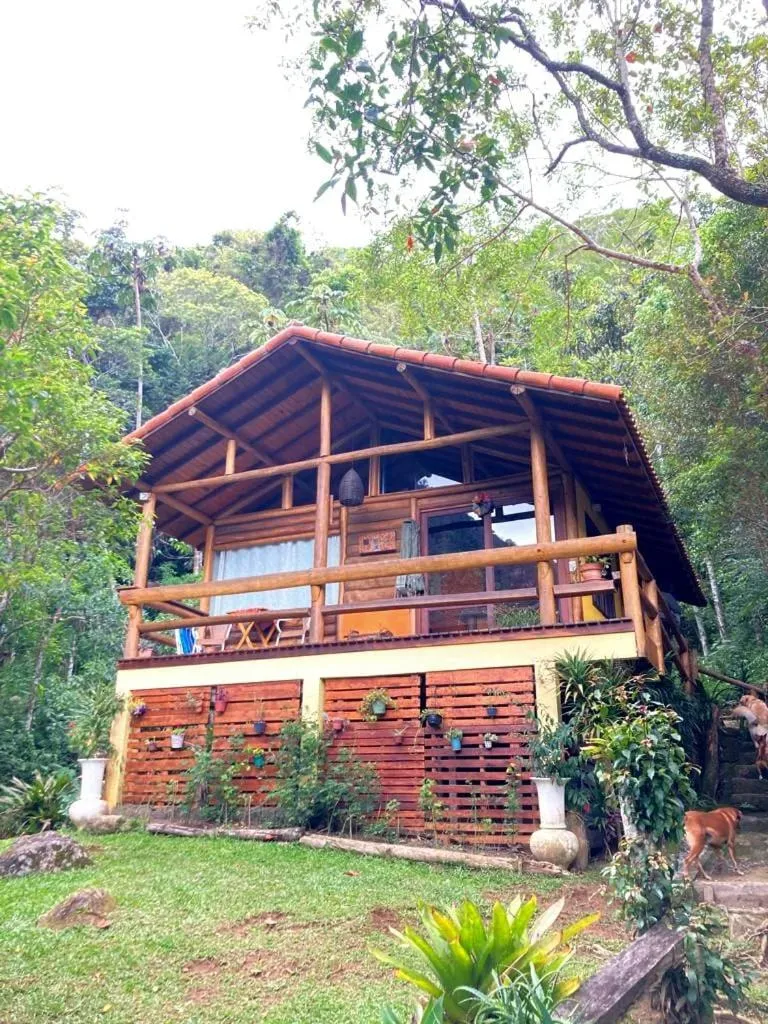 Chales Bamboo Jungle