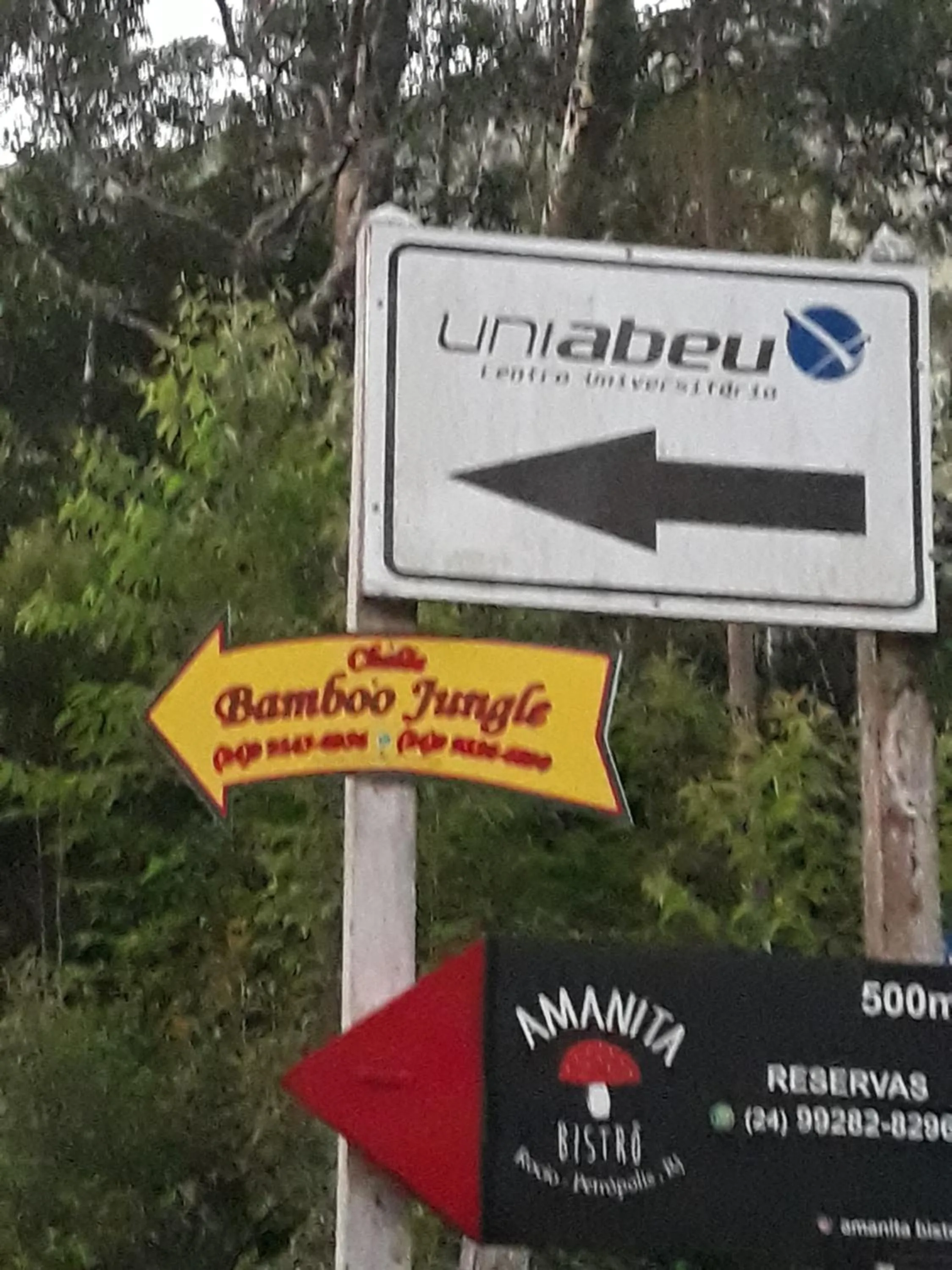 Chales Bamboo Jungle