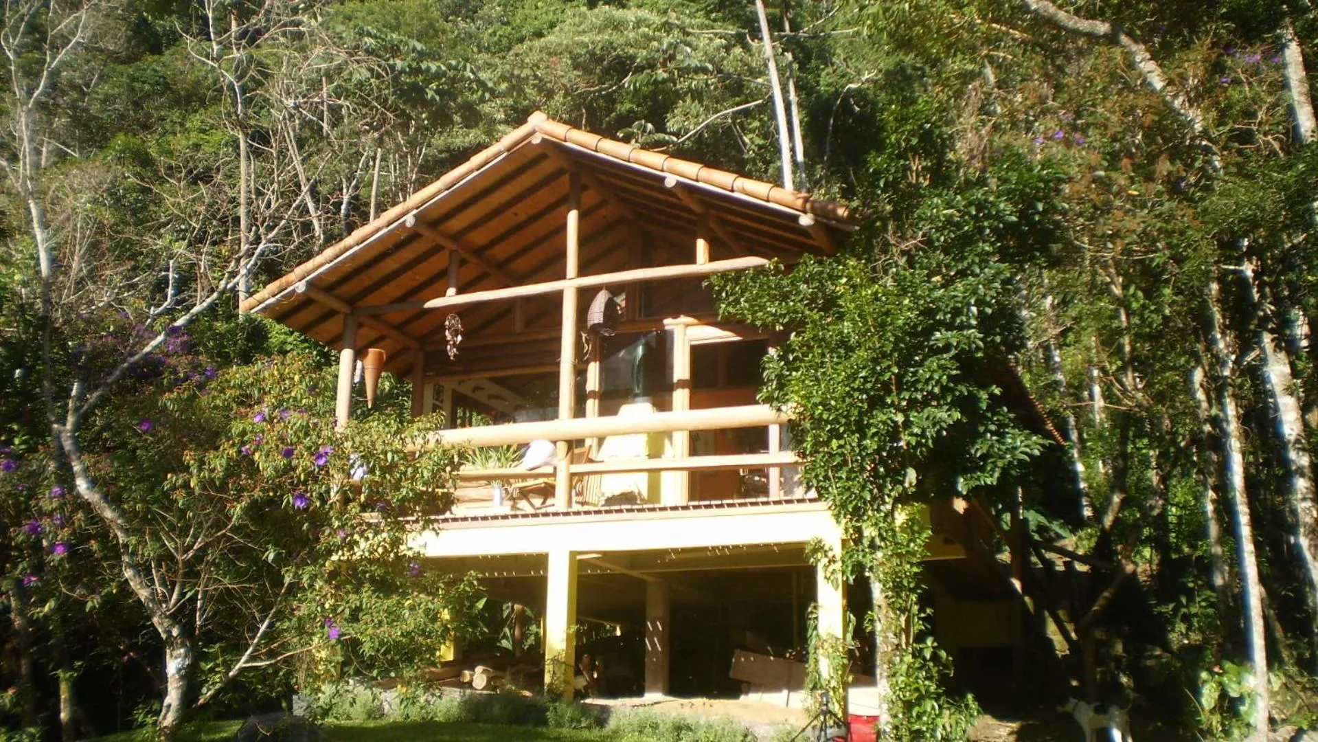 Property building in Chales Bamboo Jungle