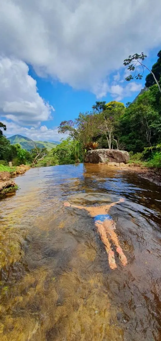 Chales Bamboo Jungle
