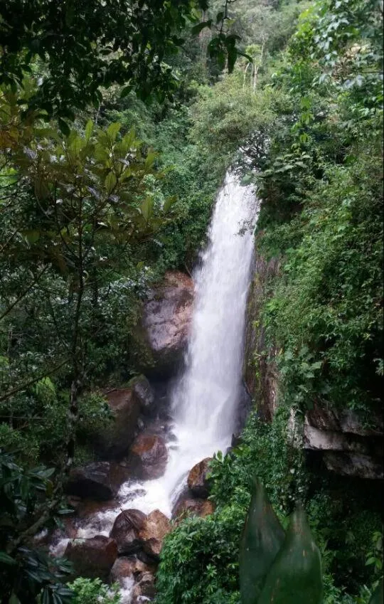 Shower in Chales Bamboo Jungle