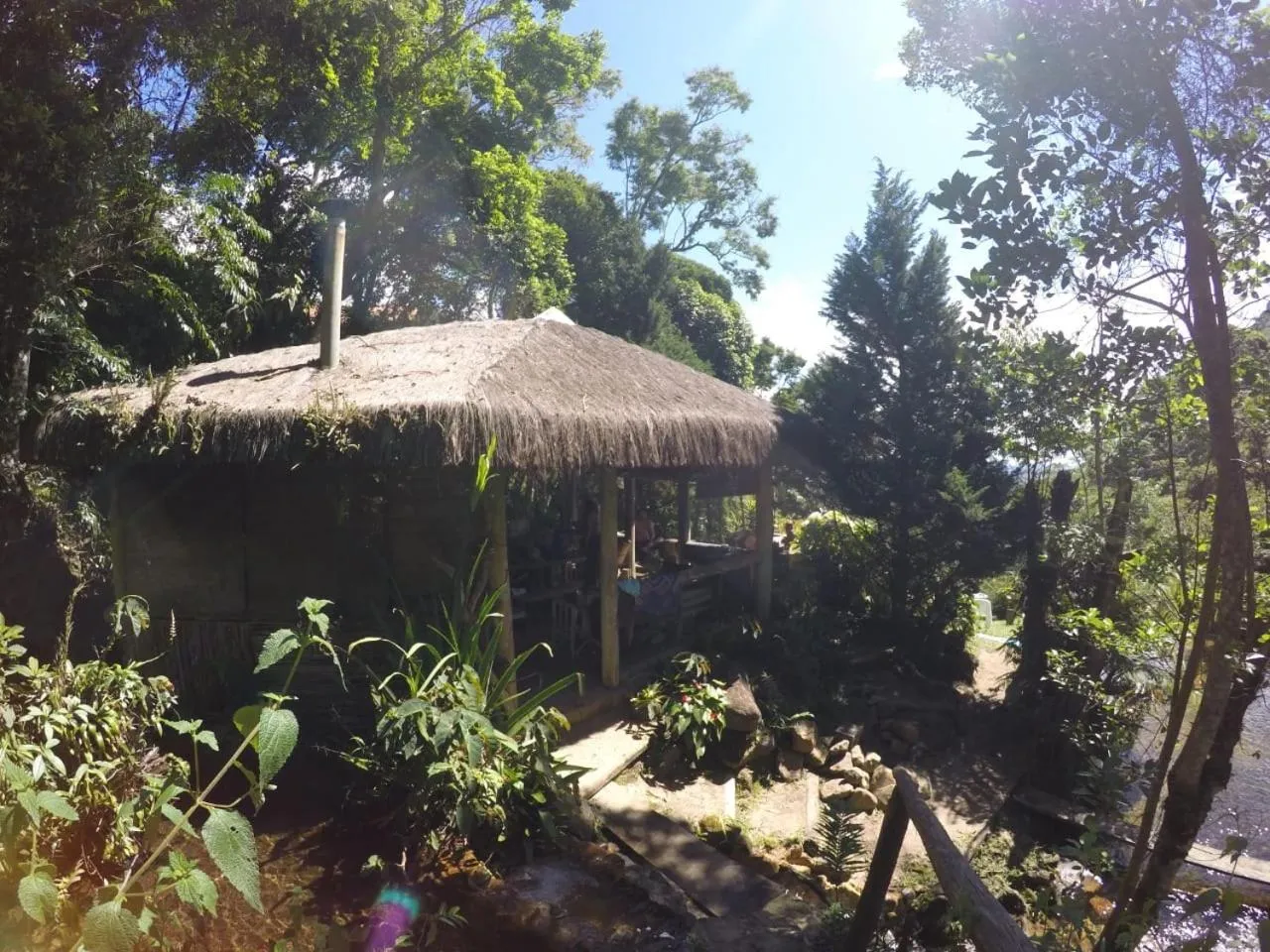 Property building in Chales Bamboo Jungle