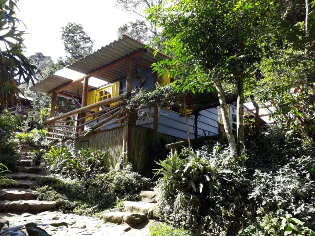 Chales Bamboo Jungle Chales Bamboo Jungle