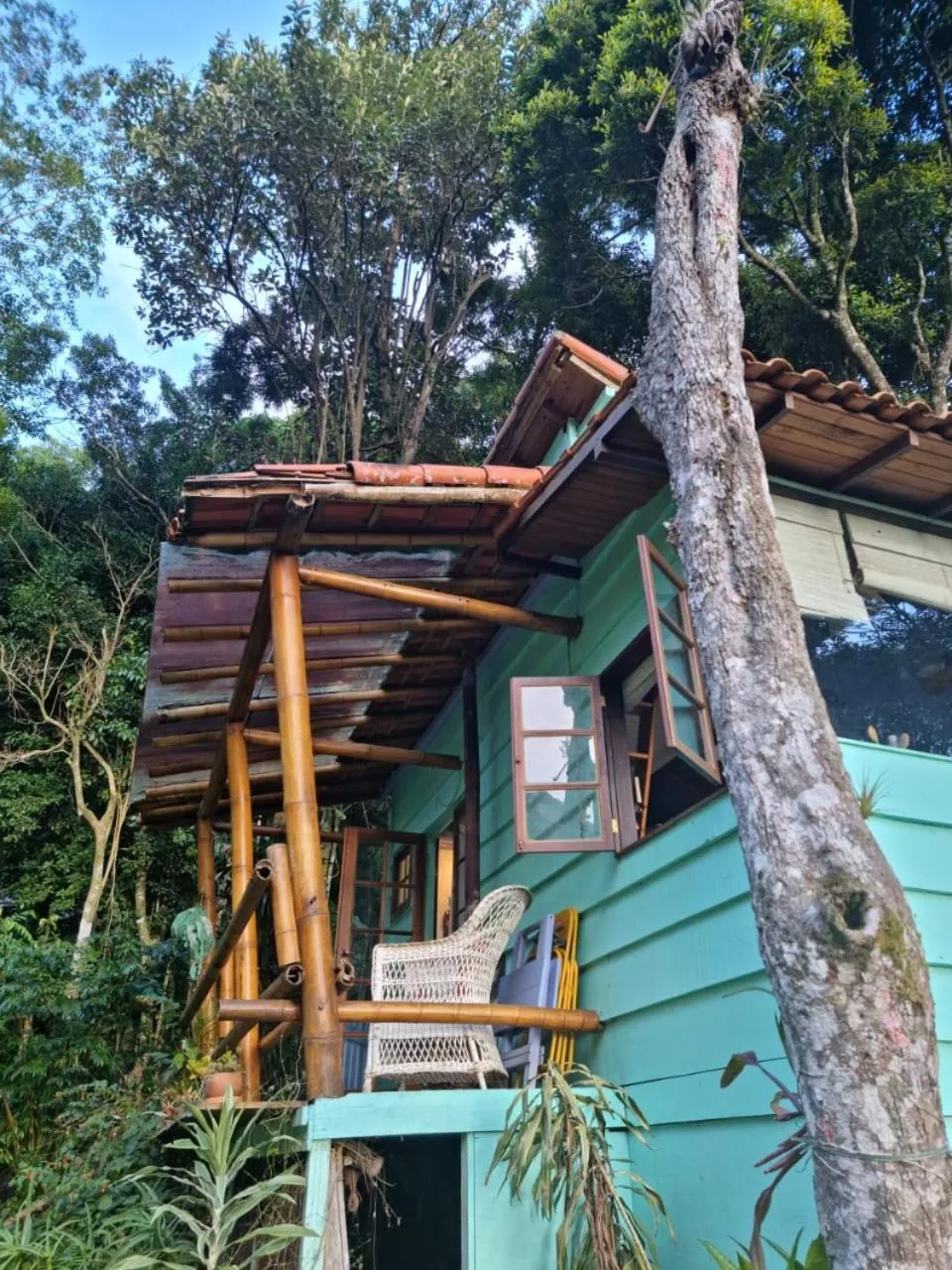 Property building in Chales Bamboo Jungle