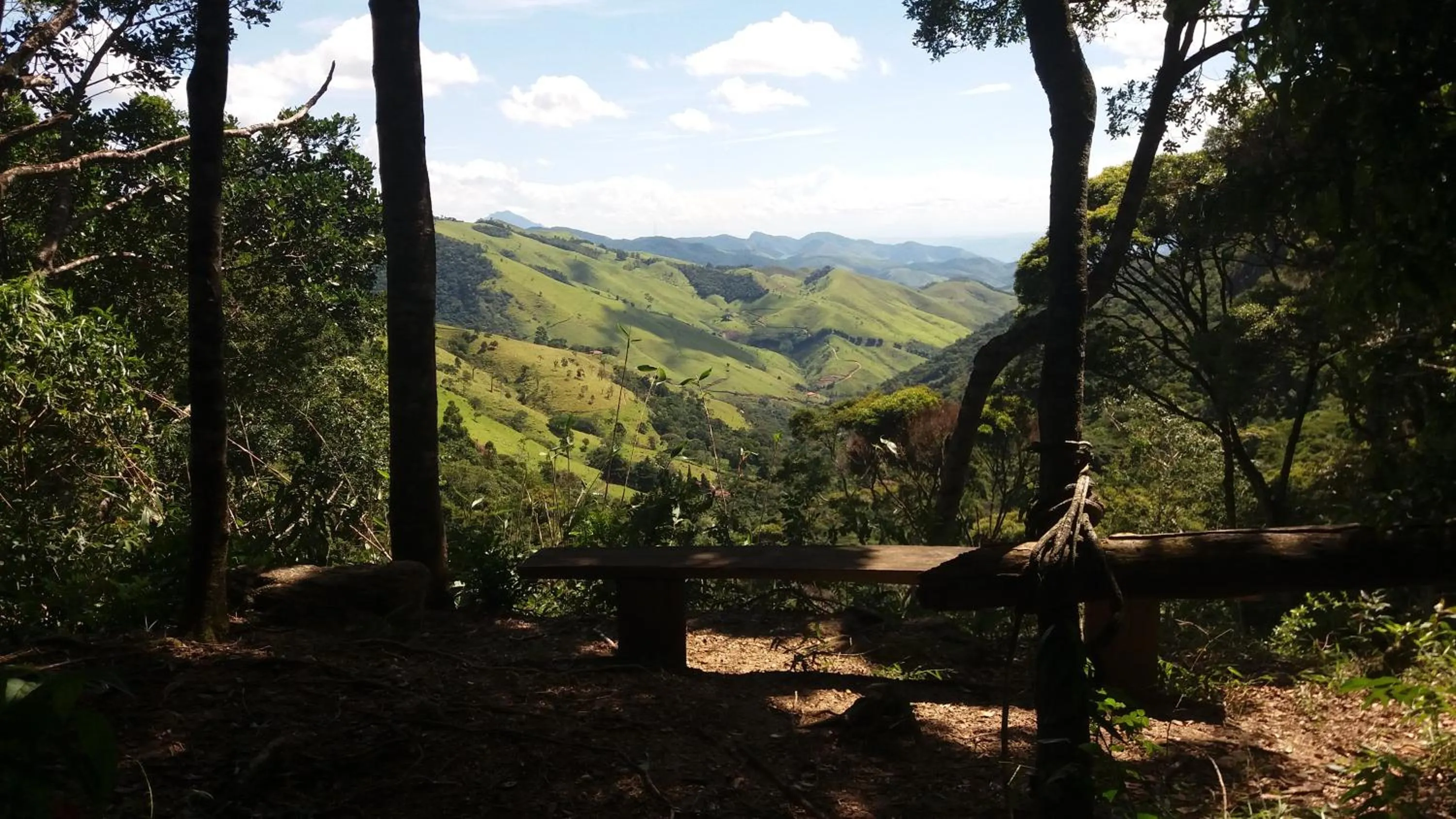 Hiking in Chales Bamboo Jungle