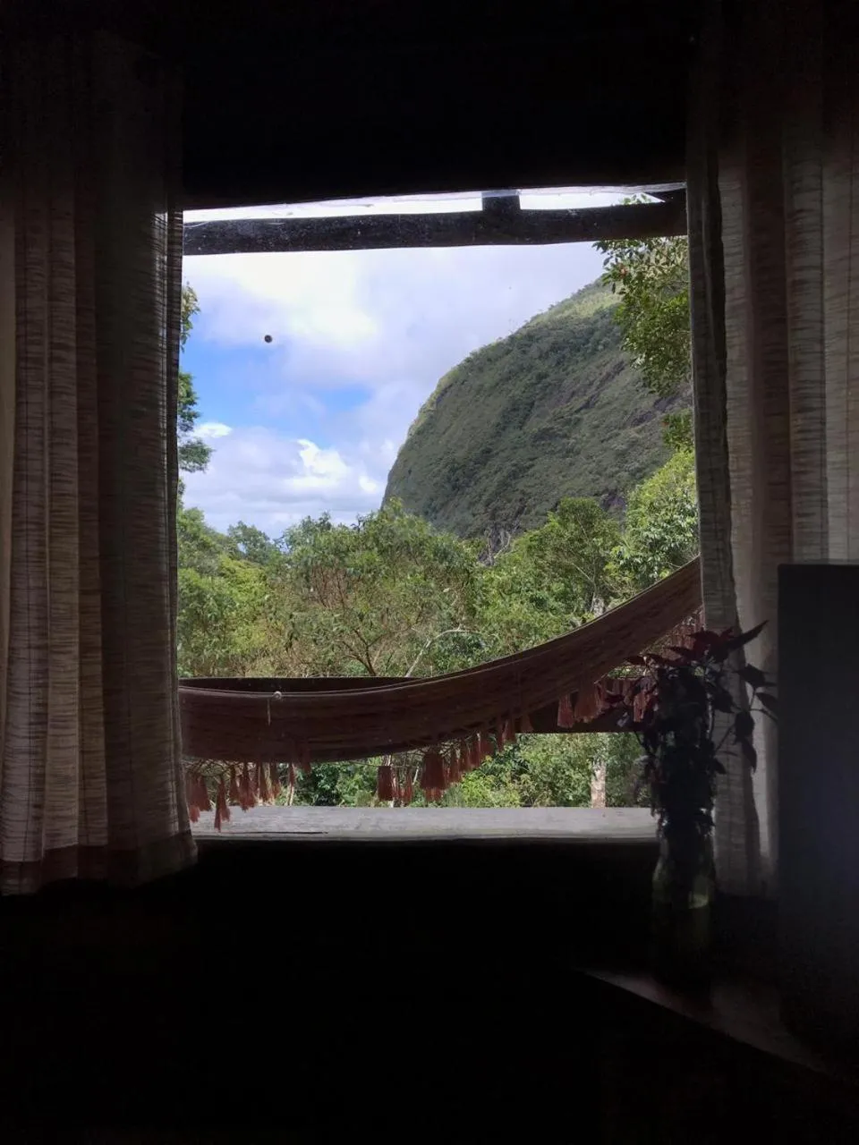 Mountain view in Chales Bamboo Jungle