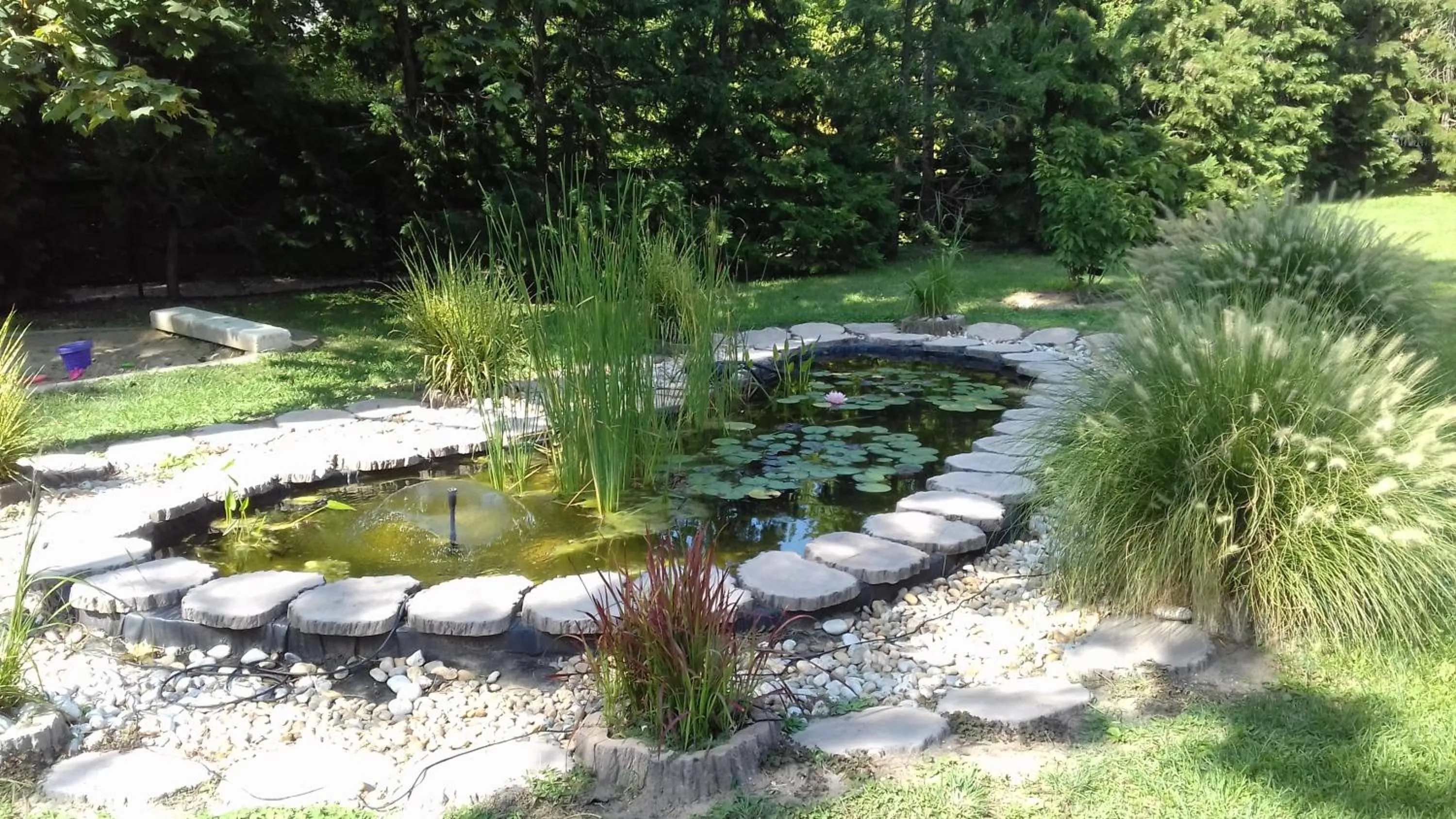 Garden in Hotel Jogar