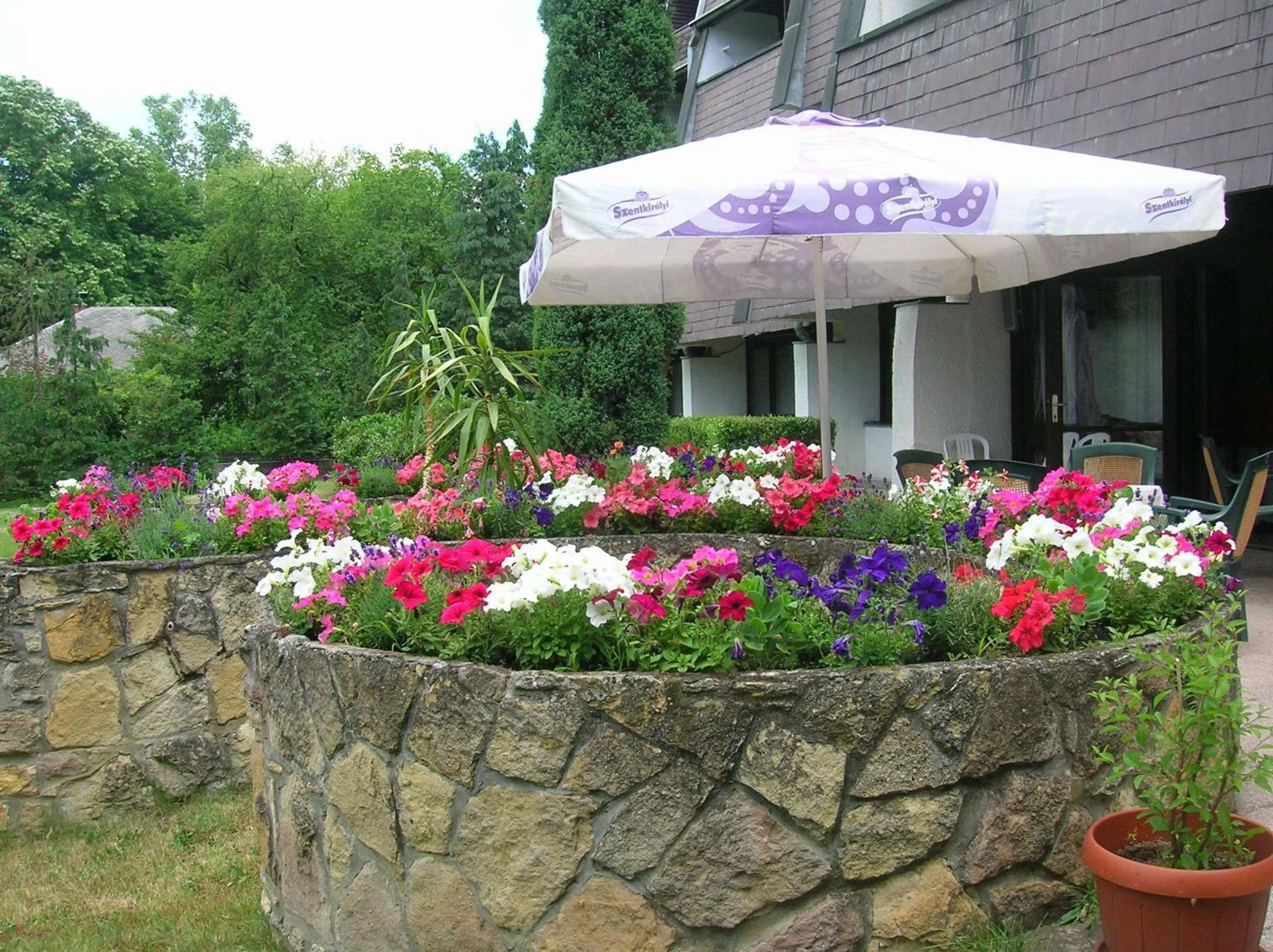 Garden in Hotel Jogar