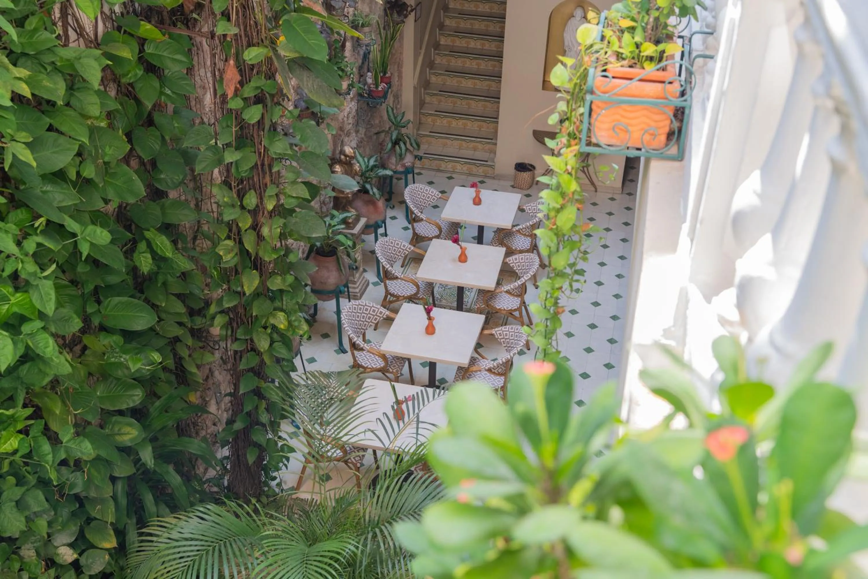 Patio in Hotel Casa La Fe