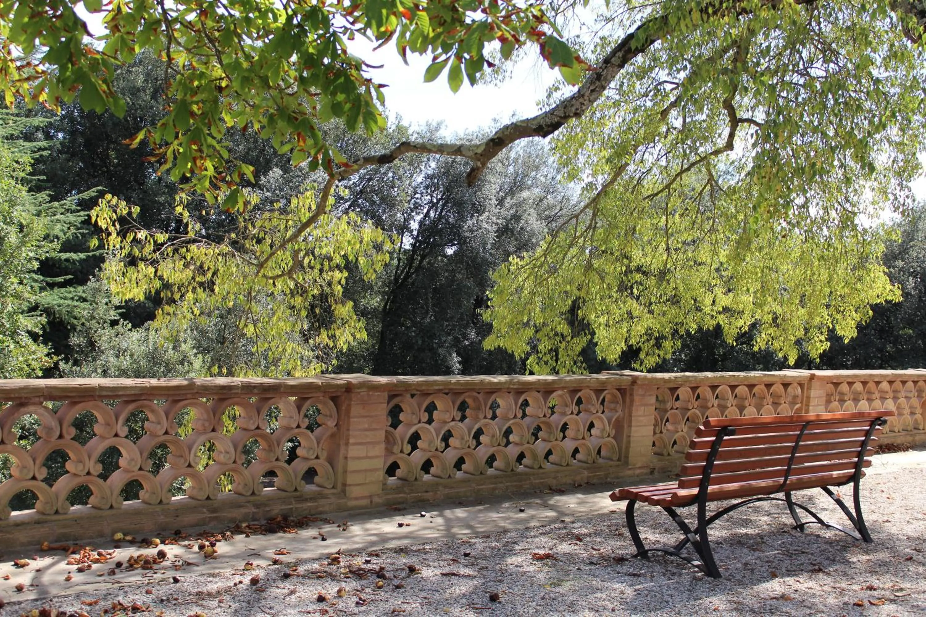 Garden in Borgo Dei Conti Resort Relais & Chateaux