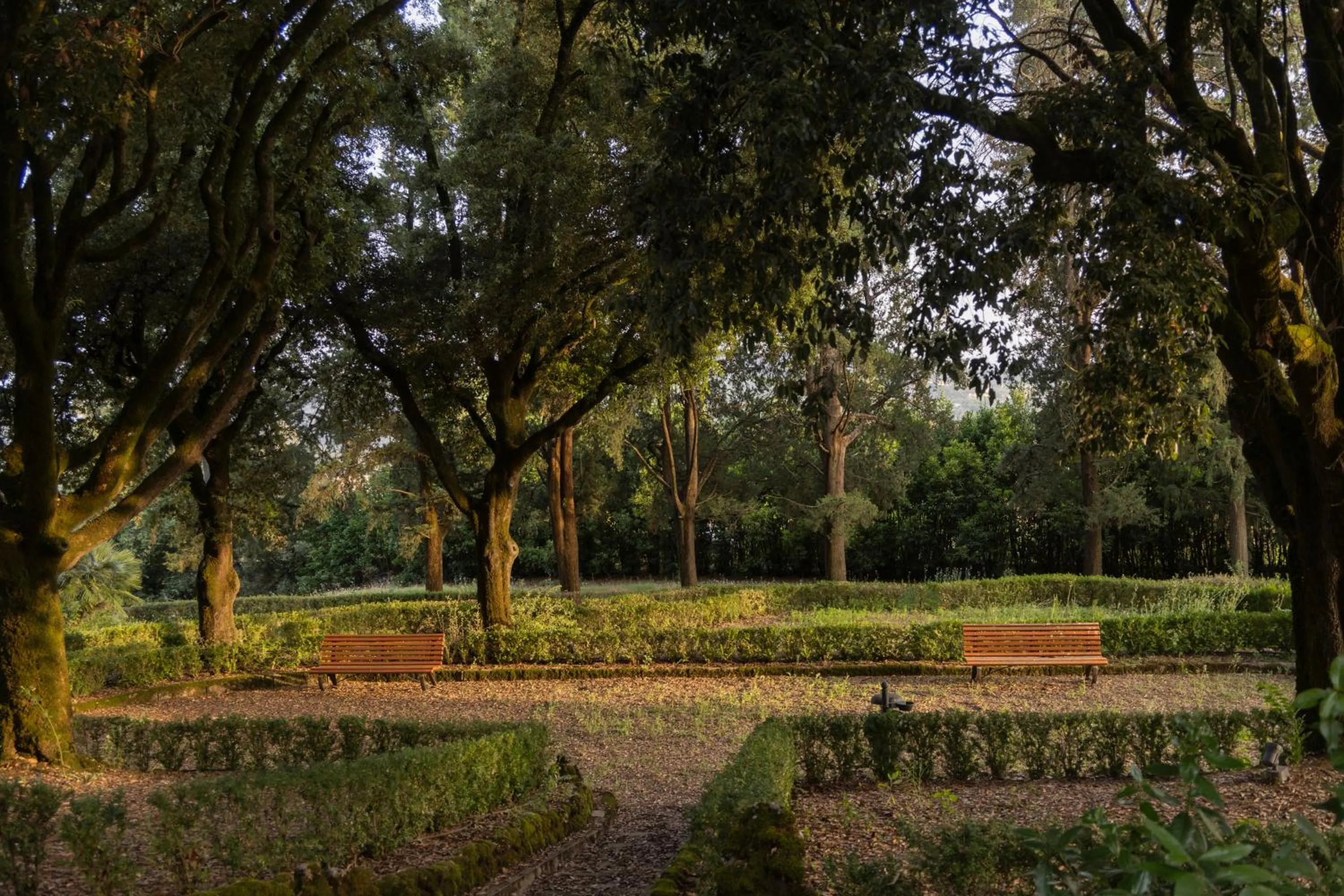 Garden in Borgo Dei Conti Resort Relais & Chateaux