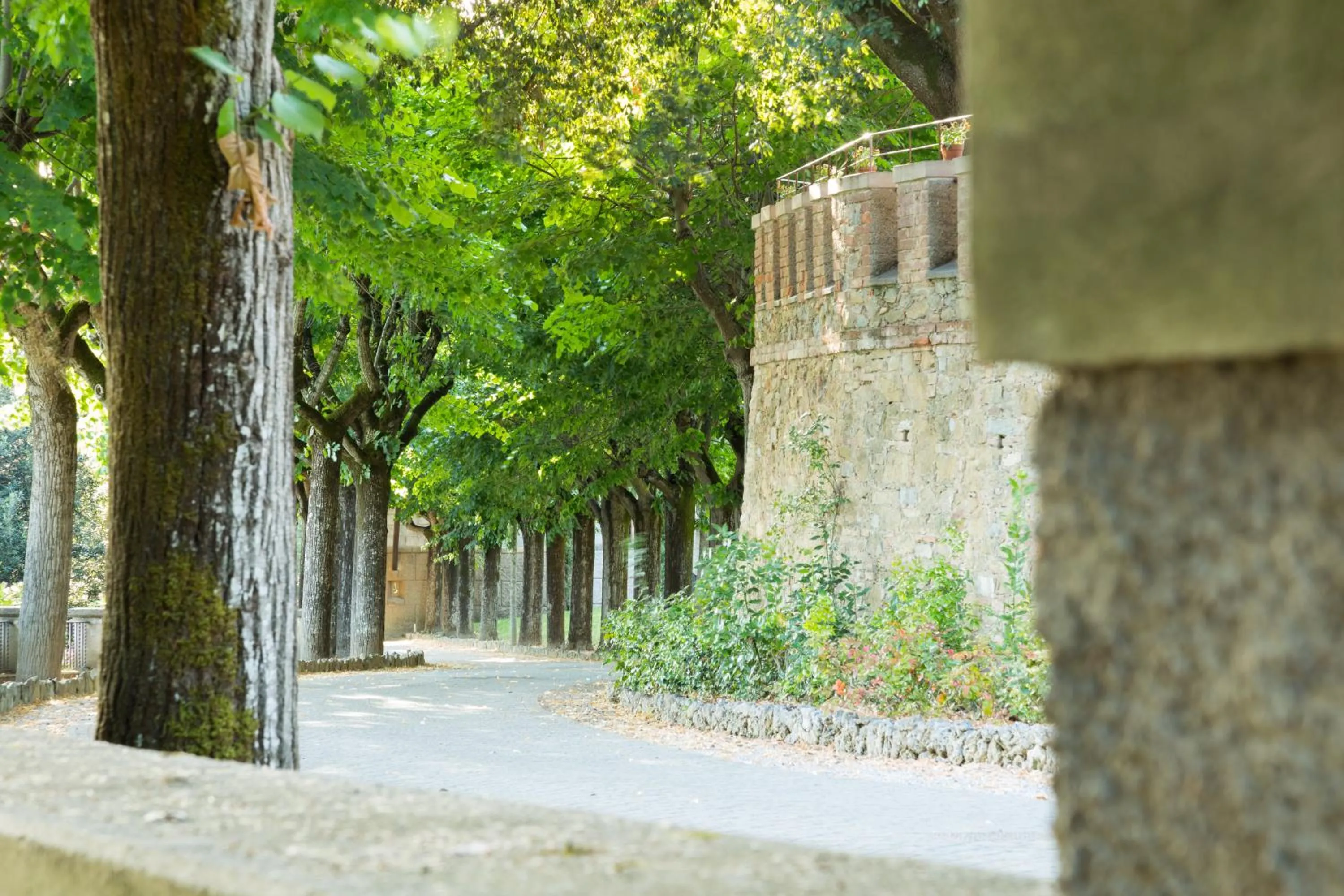 Facade/entrance in Borgo Dei Conti Resort Relais & Chateaux