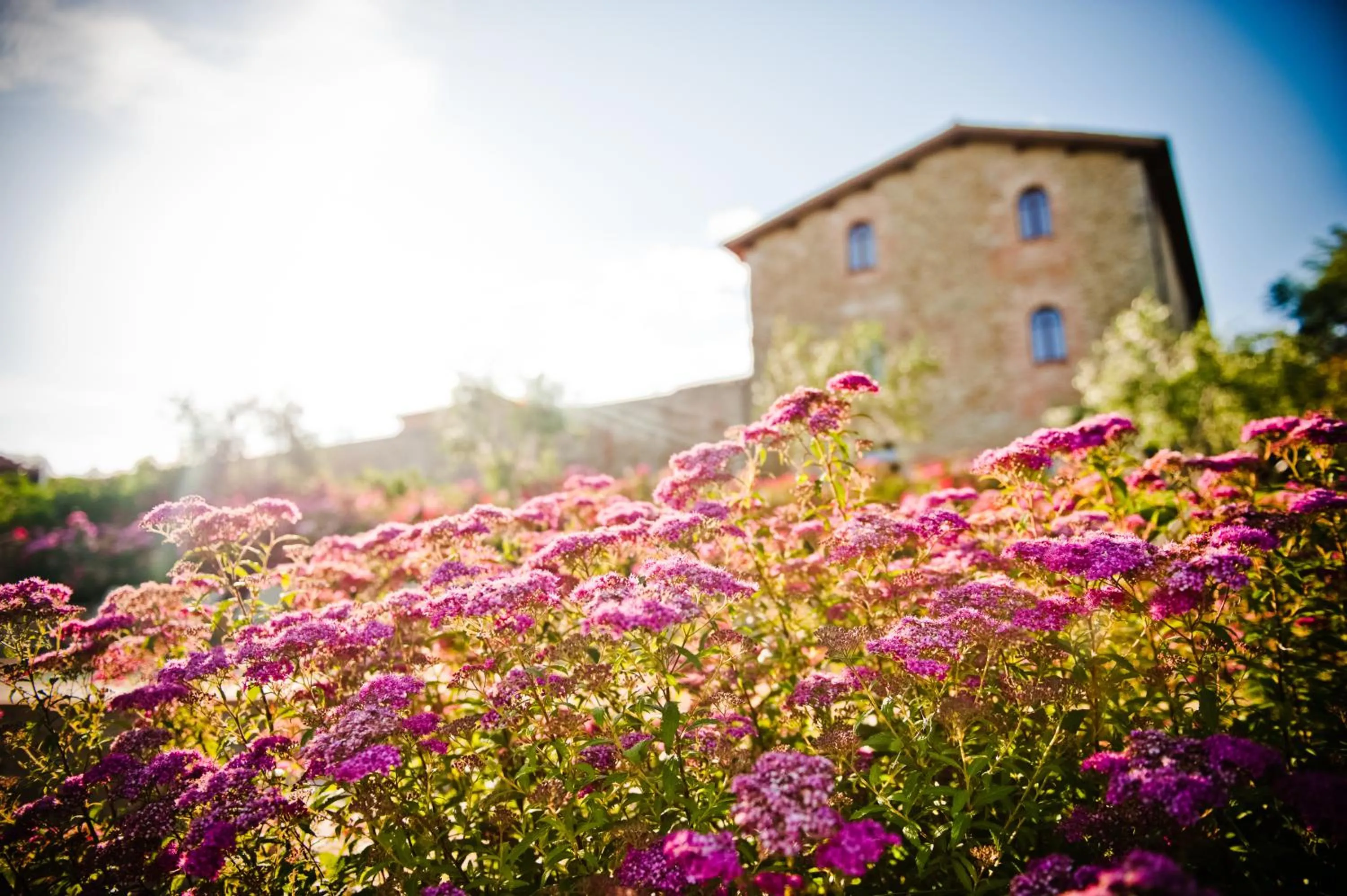 Facade/entrance in Borgo Dei Conti Resort Relais & Chateaux