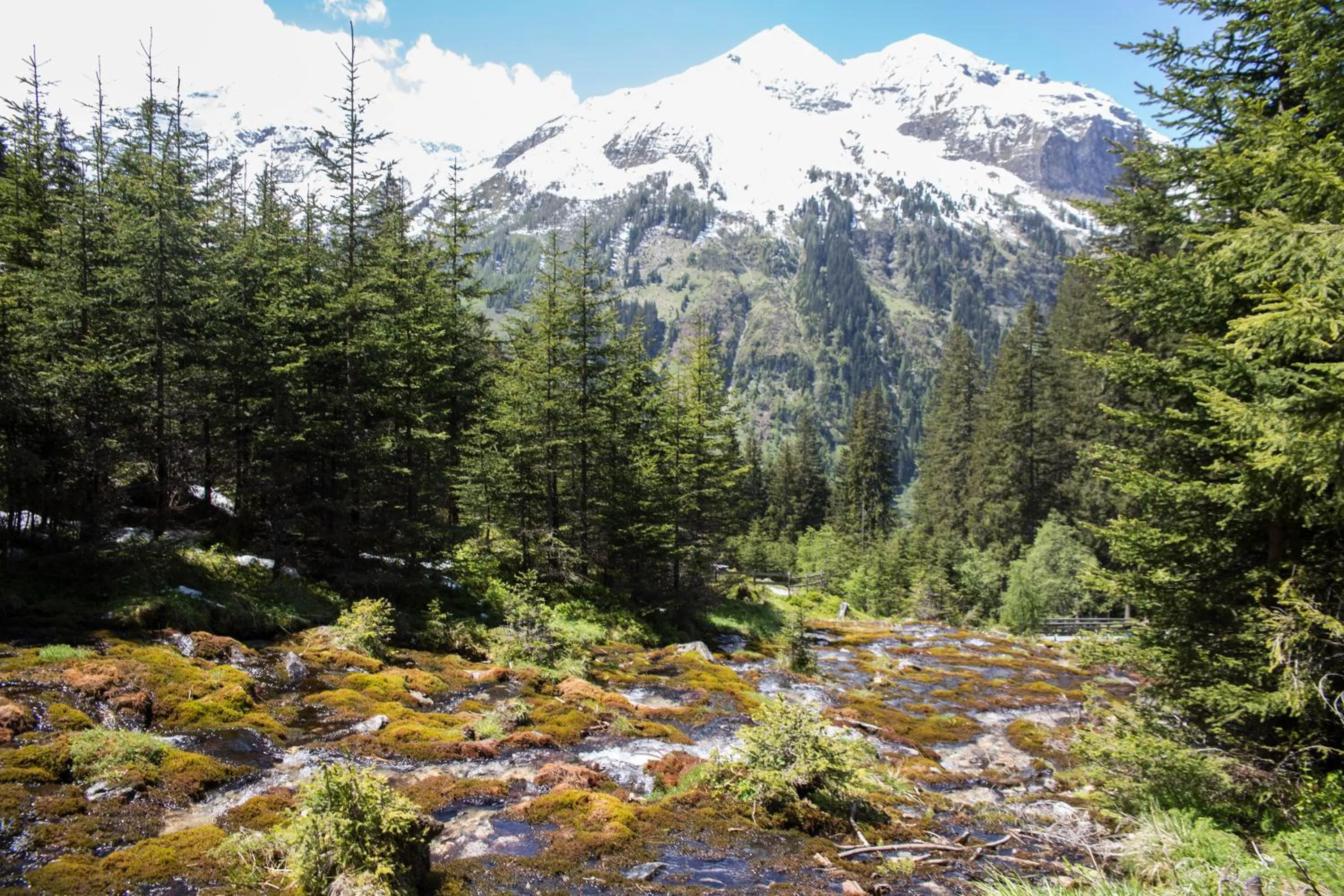 Activities in Gasthof Andrelwirt Rauris