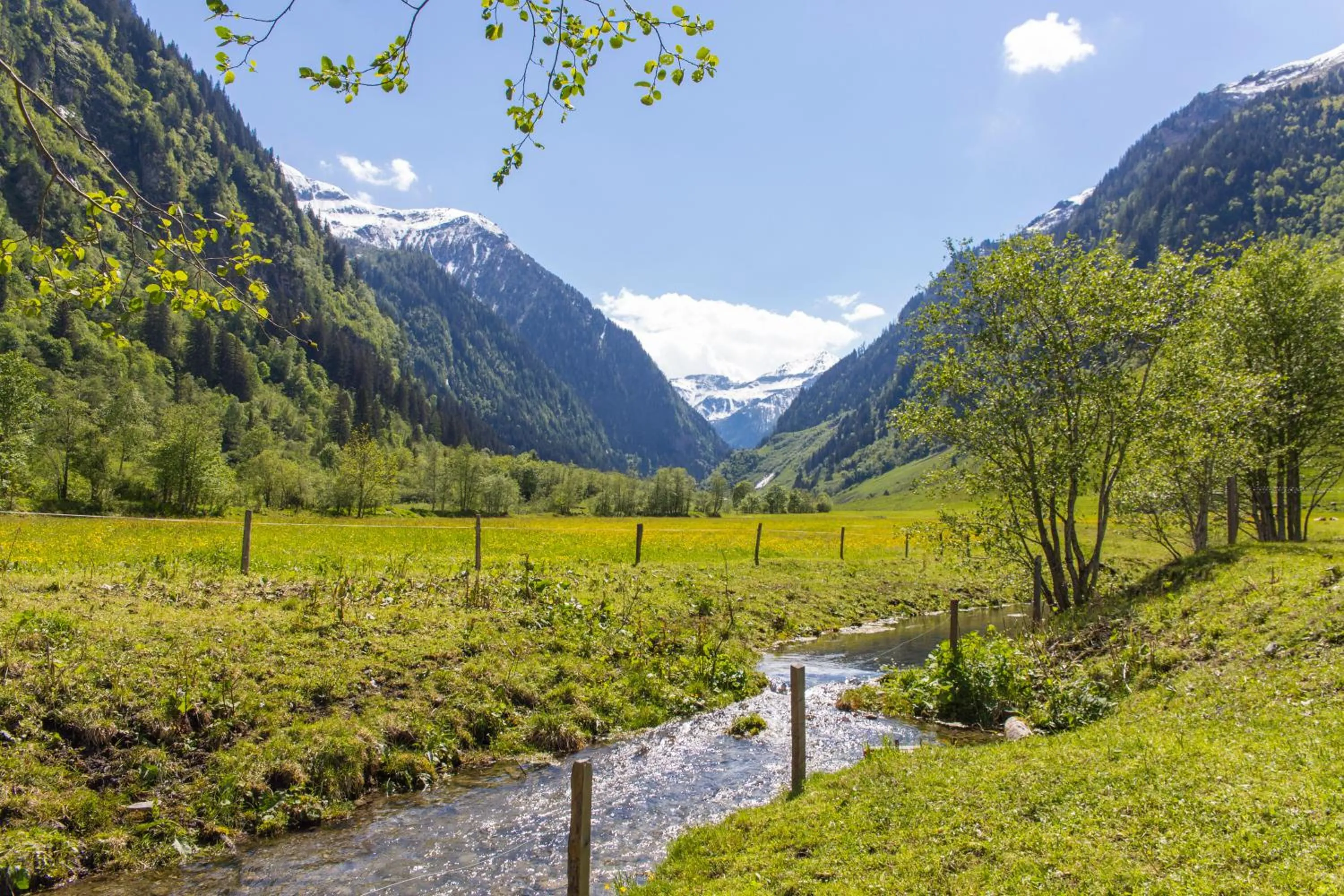 Natural landscape in Gasthof Andrelwirt Rauris