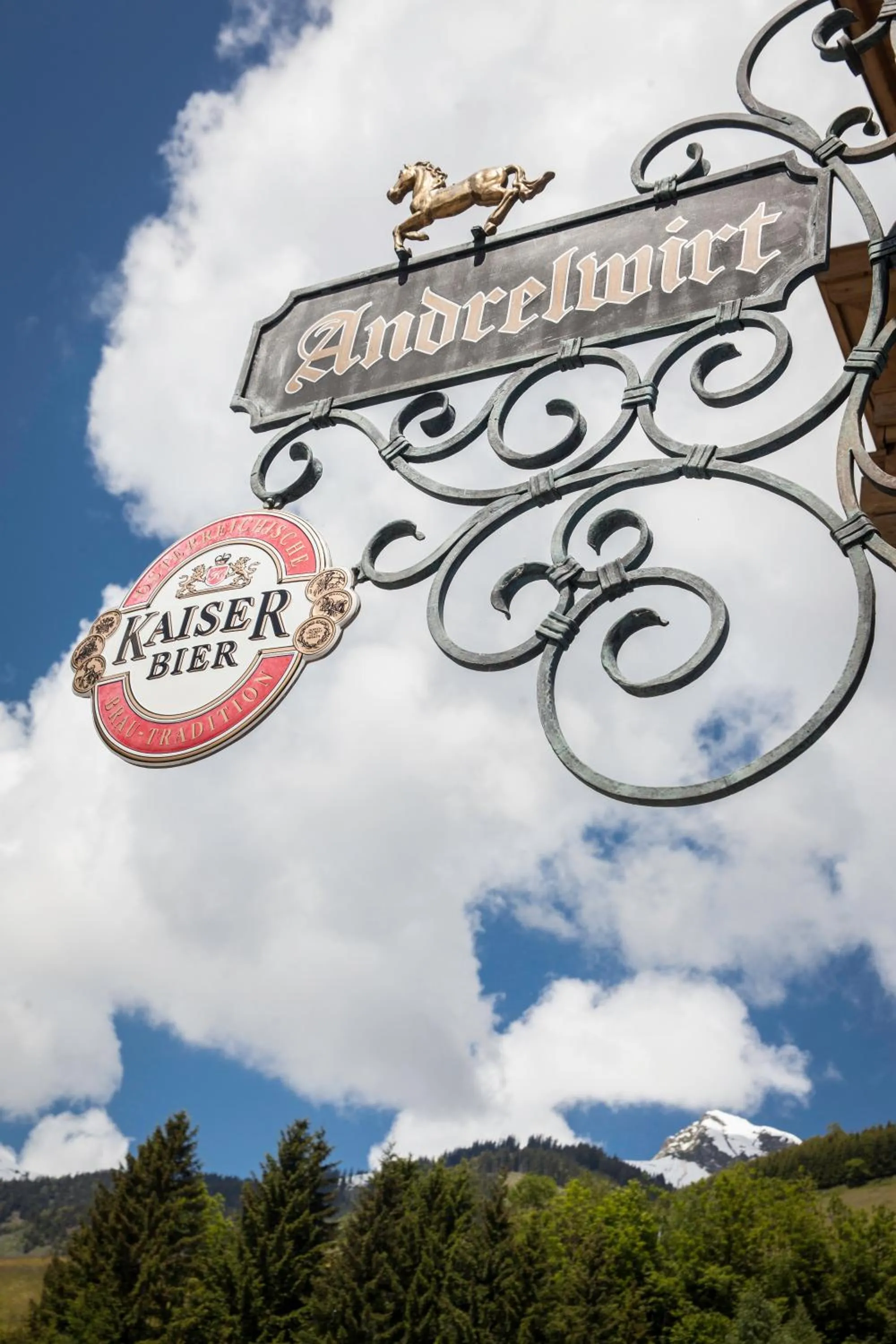 View (from property/room) in Gasthof Andrelwirt Rauris