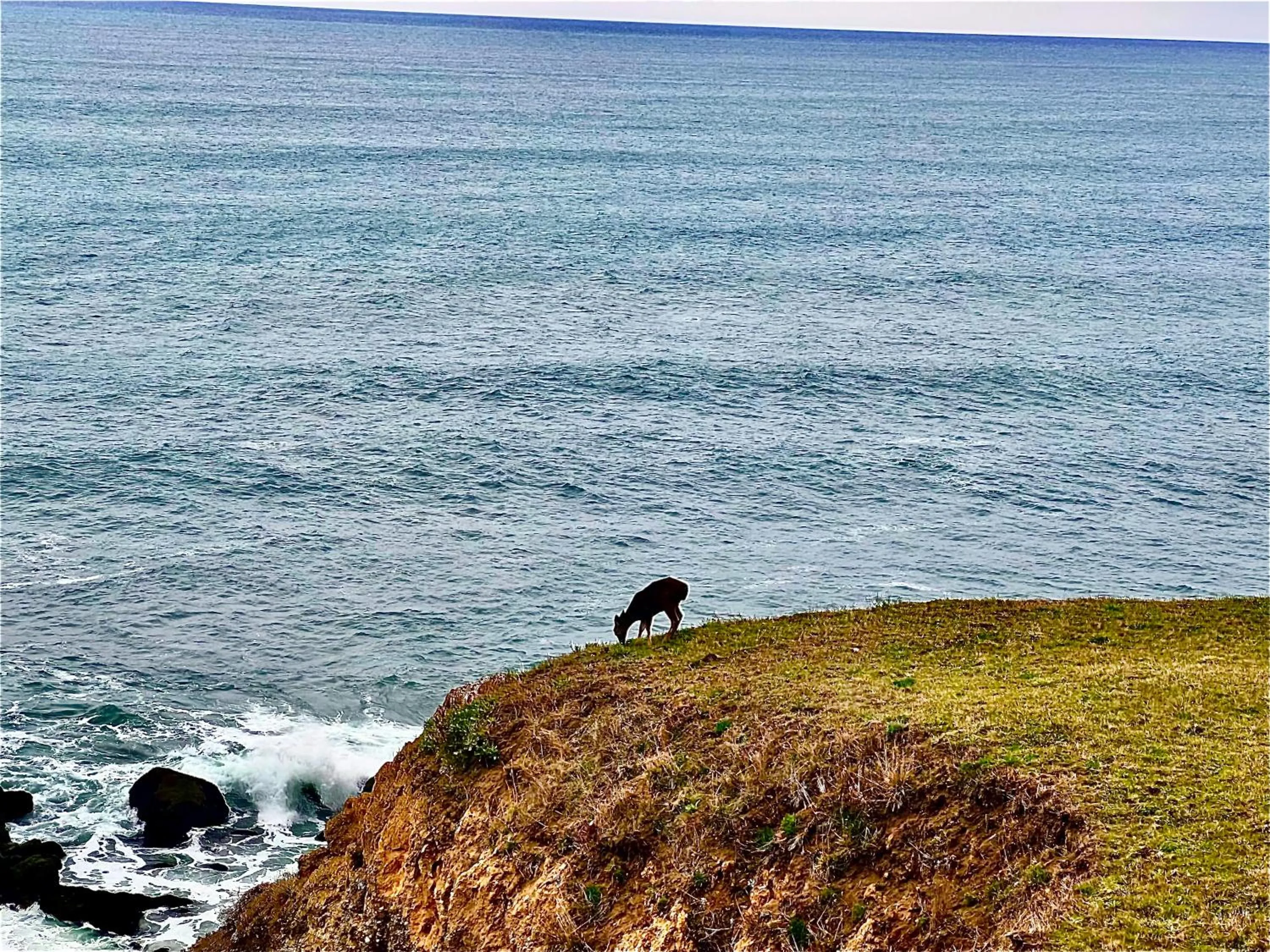 Sea view in Inn of the Lost Coast