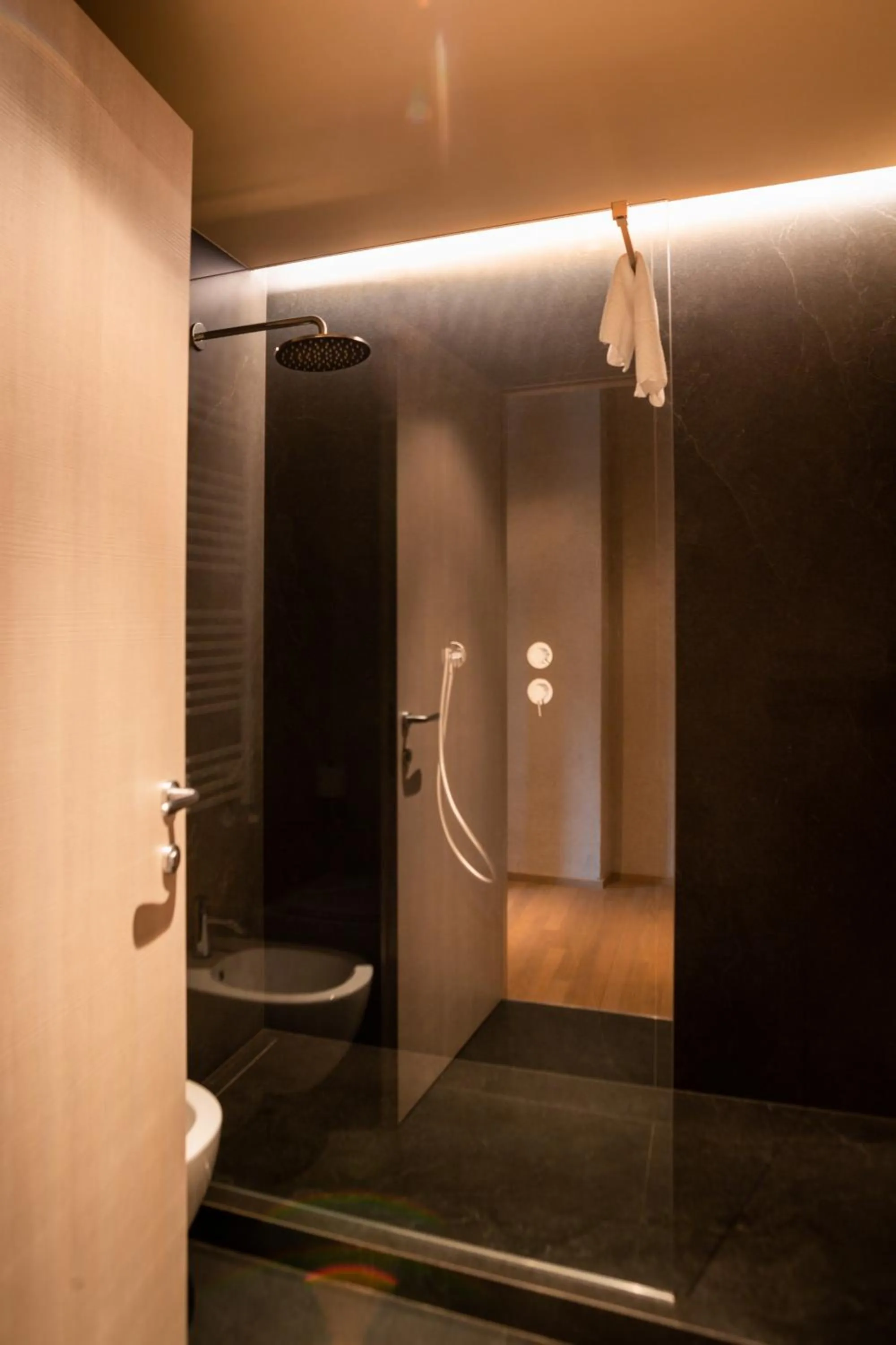 Shower in Hotel Olivedo