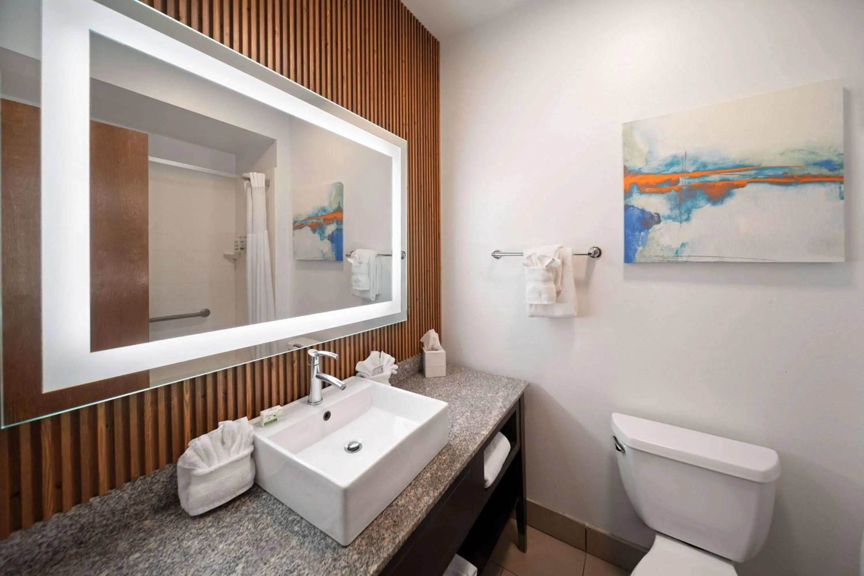 Bathroom in La Quinta by Wyndham Austin NW/Lakeline Mall