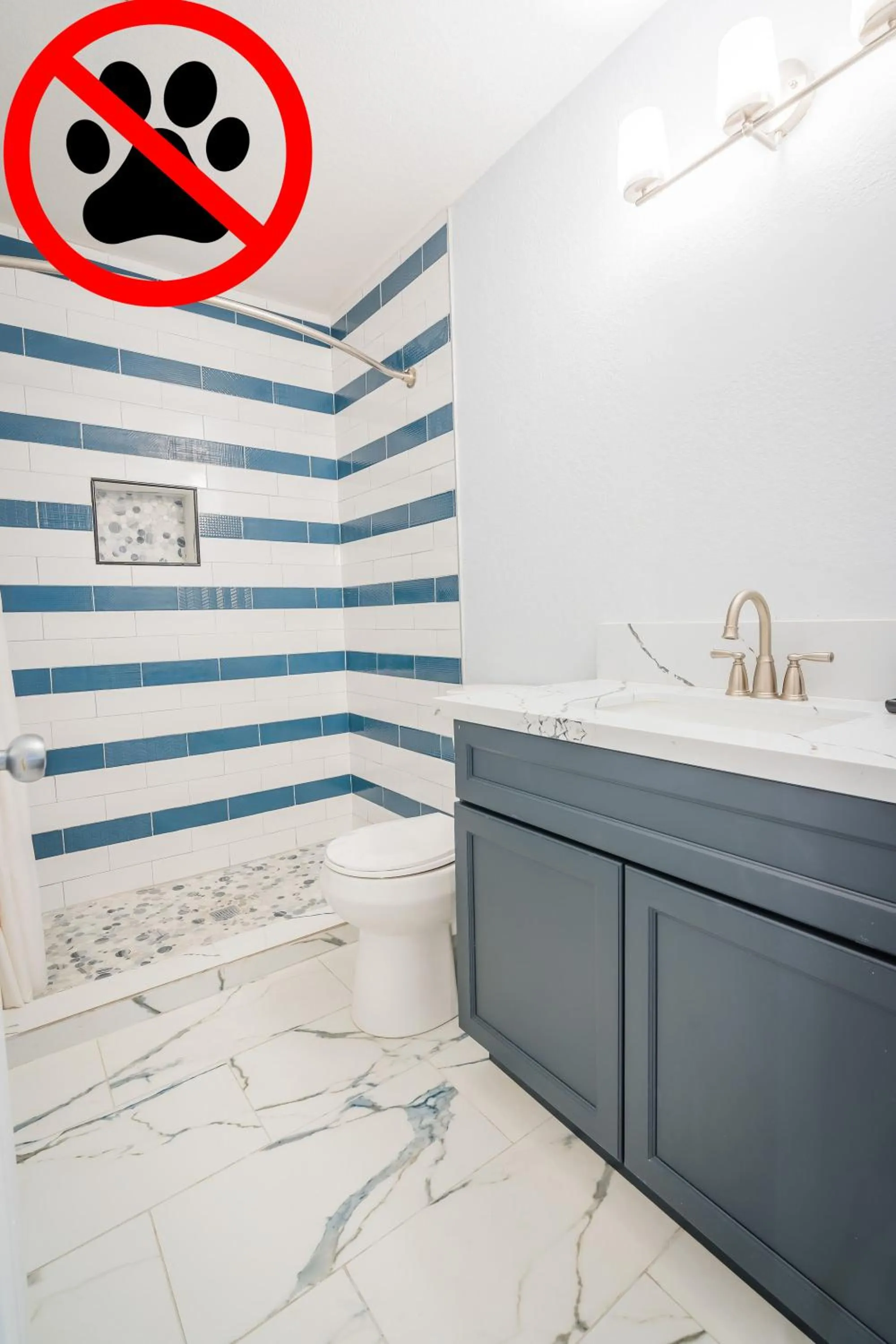 Bathroom in Rio Del Sol Inn Needles