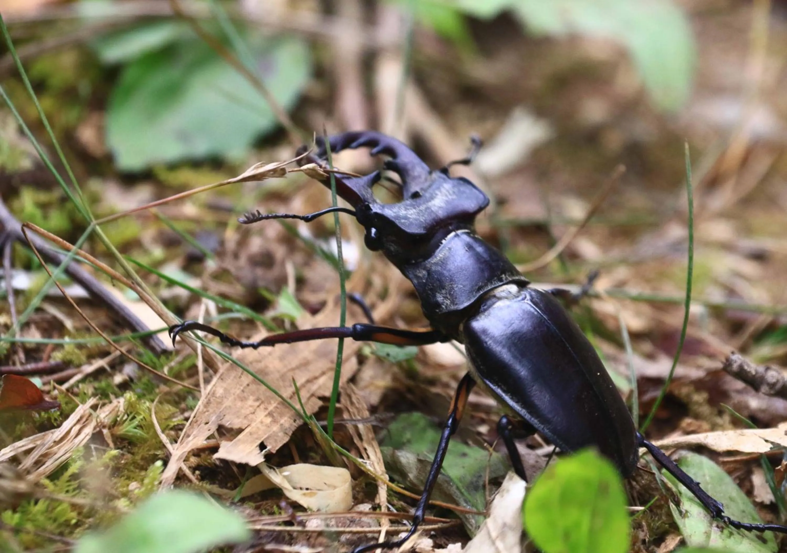 Off site in YUMORI ONSEN HOSTEL