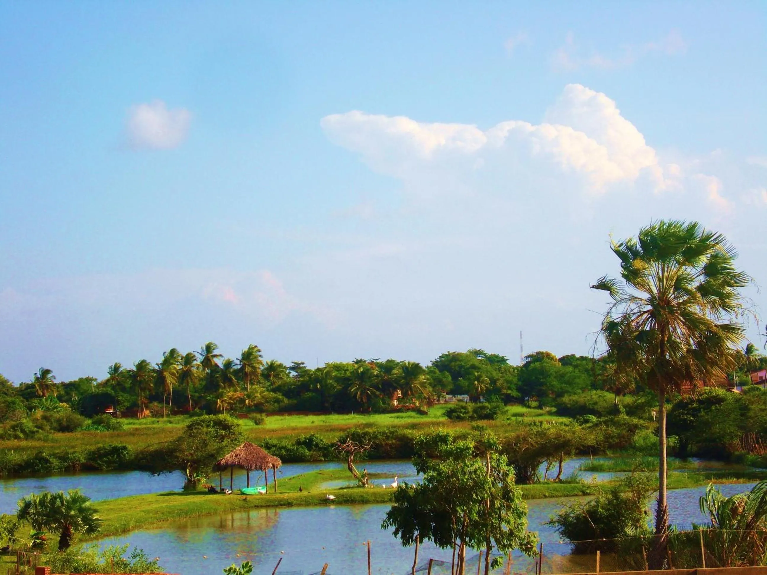 Fishing in Delta Park Hotel