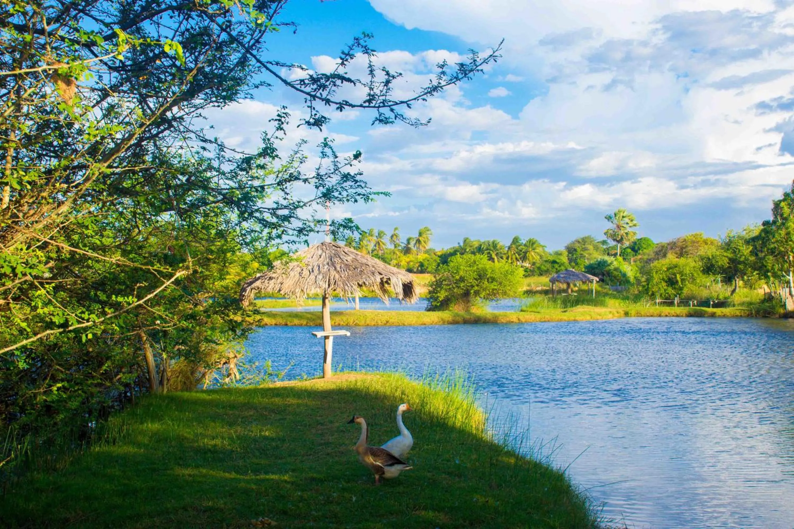 Natural landscape in Delta Park Hotel
