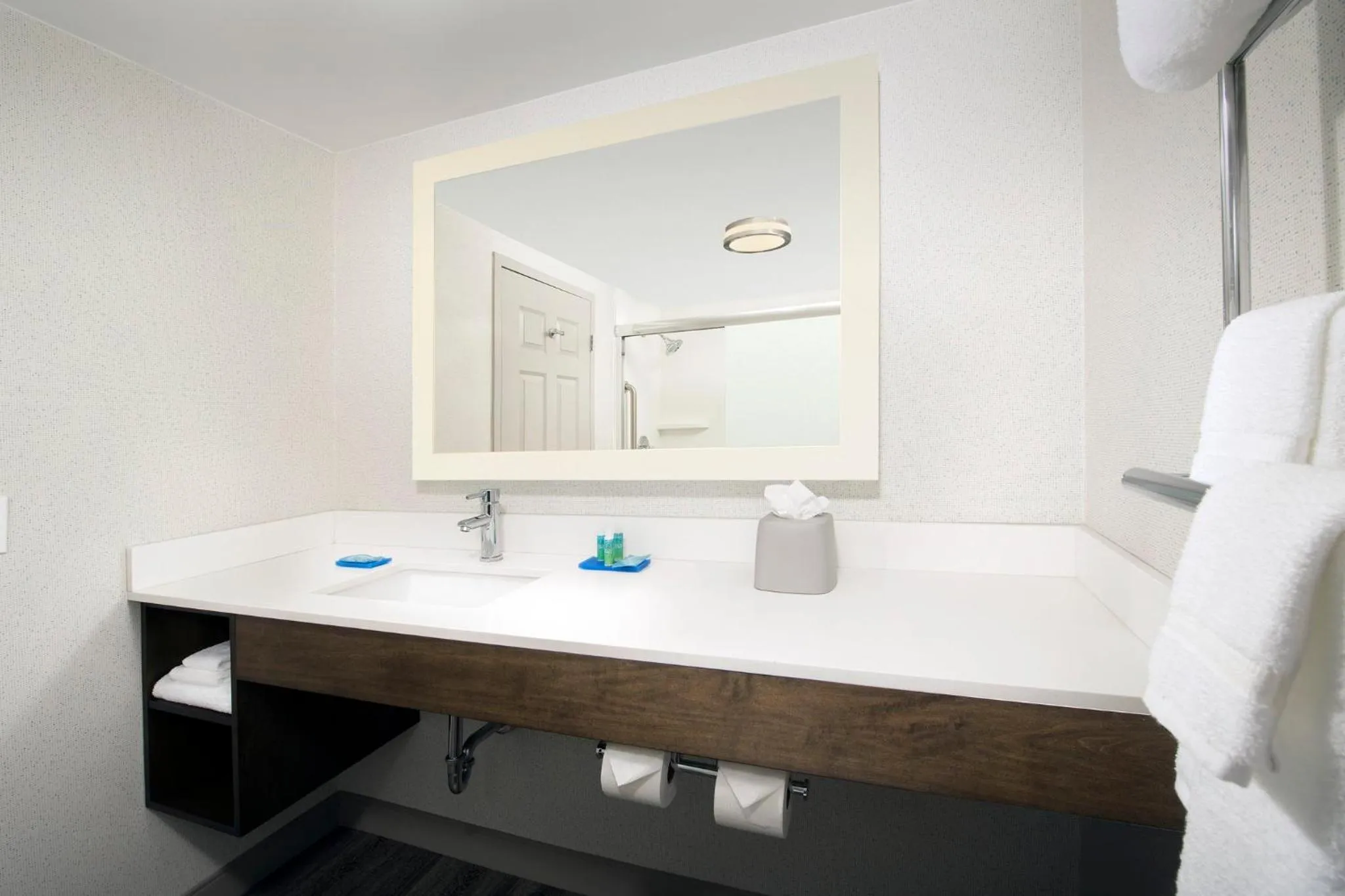 Bathroom in Holiday Inn Express & Suites Baltimore - BWI Airport North by IHG