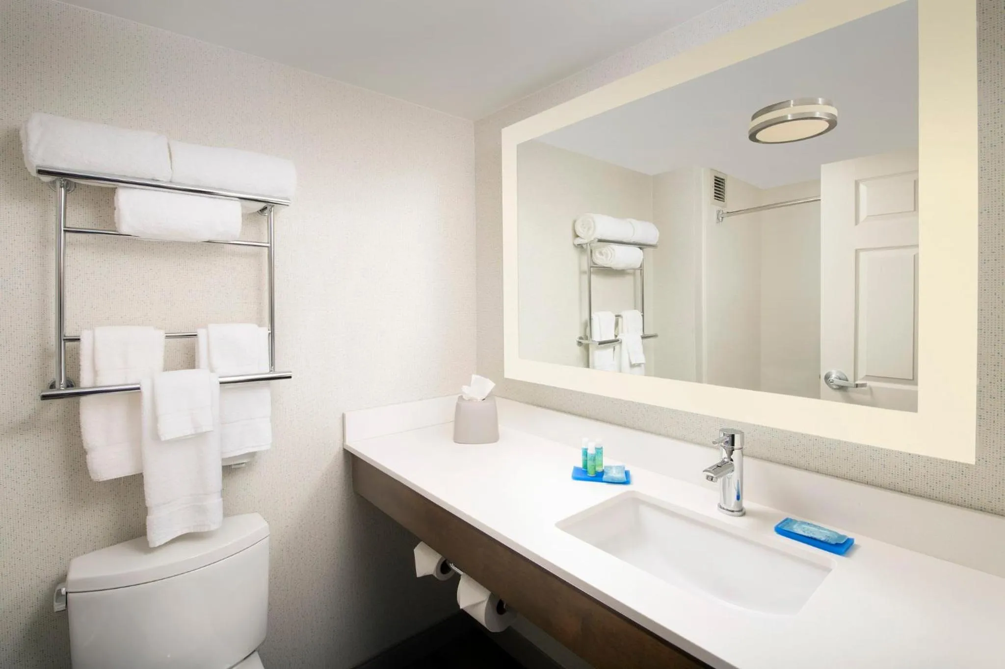 Bathroom in Holiday Inn Express & Suites Baltimore - BWI Airport North by IHG