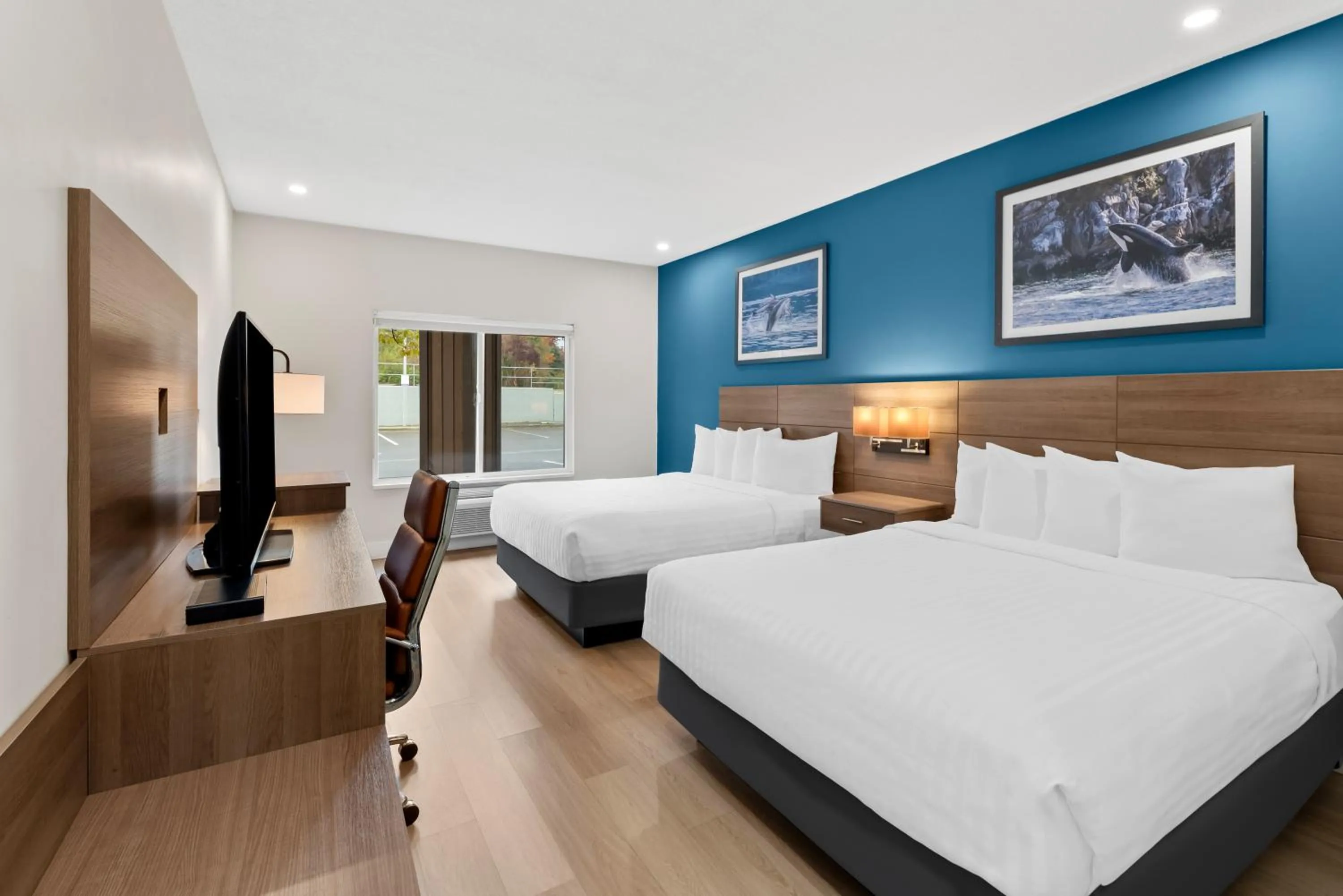 Bed in Travelodge by Wyndham Parksville