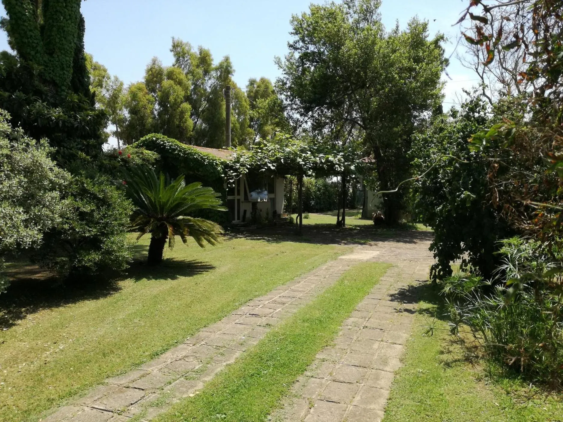 Garden in Poderi di Tragliatella