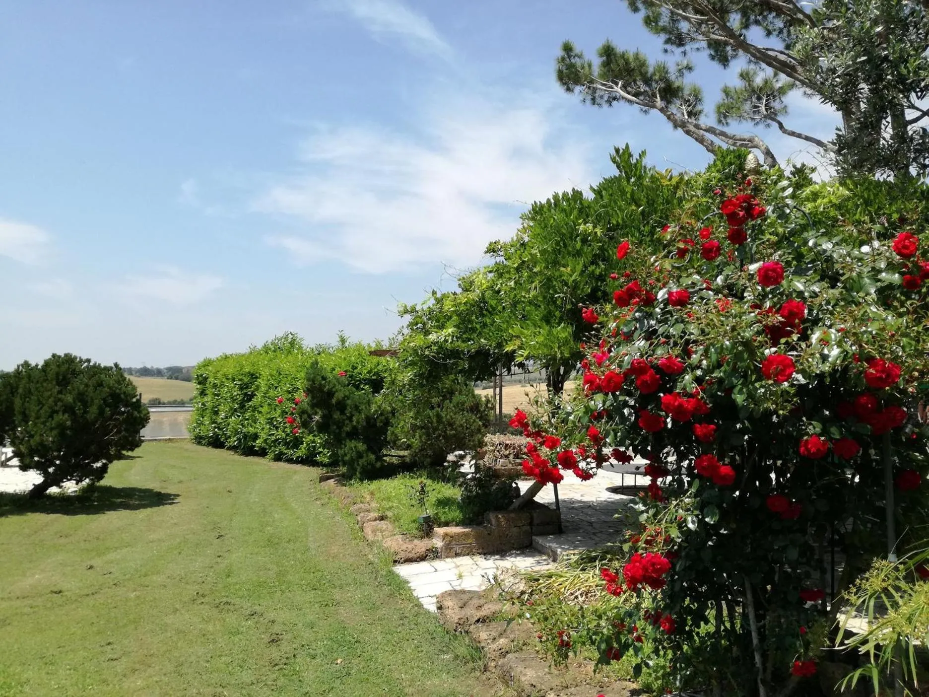 Garden in Poderi di Tragliatella