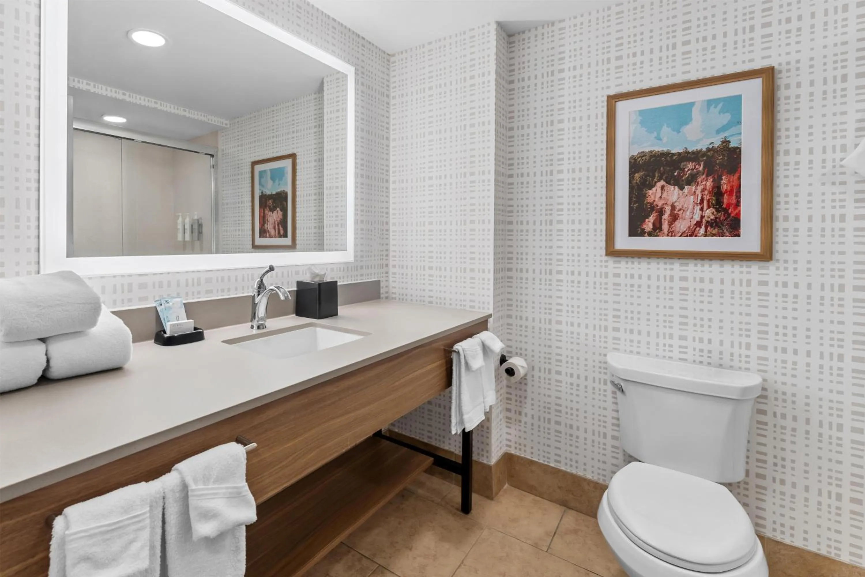 Bathroom in Hampton Inn & Suites Tifton