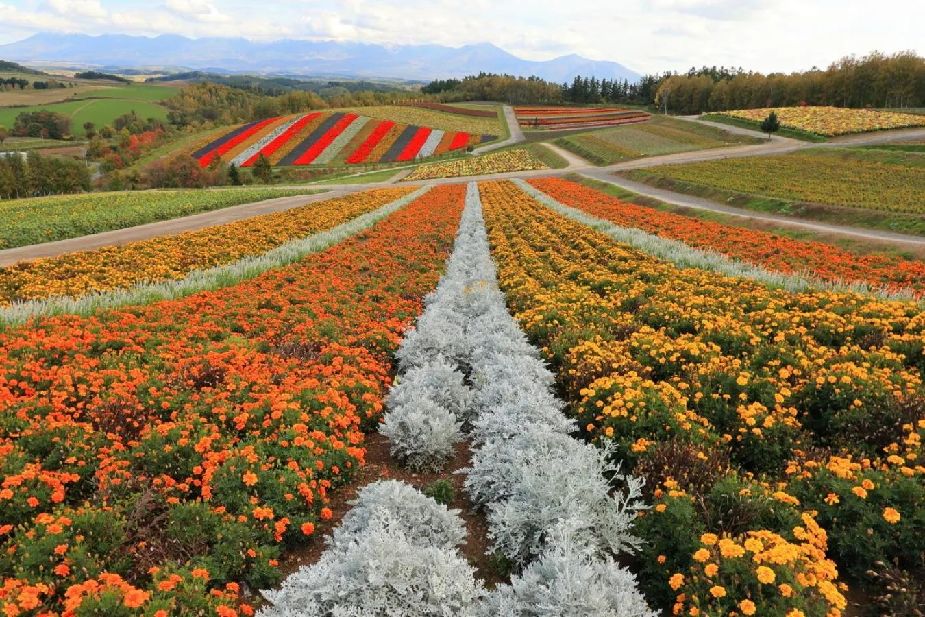 Natural landscape in Hotel Edel Warme