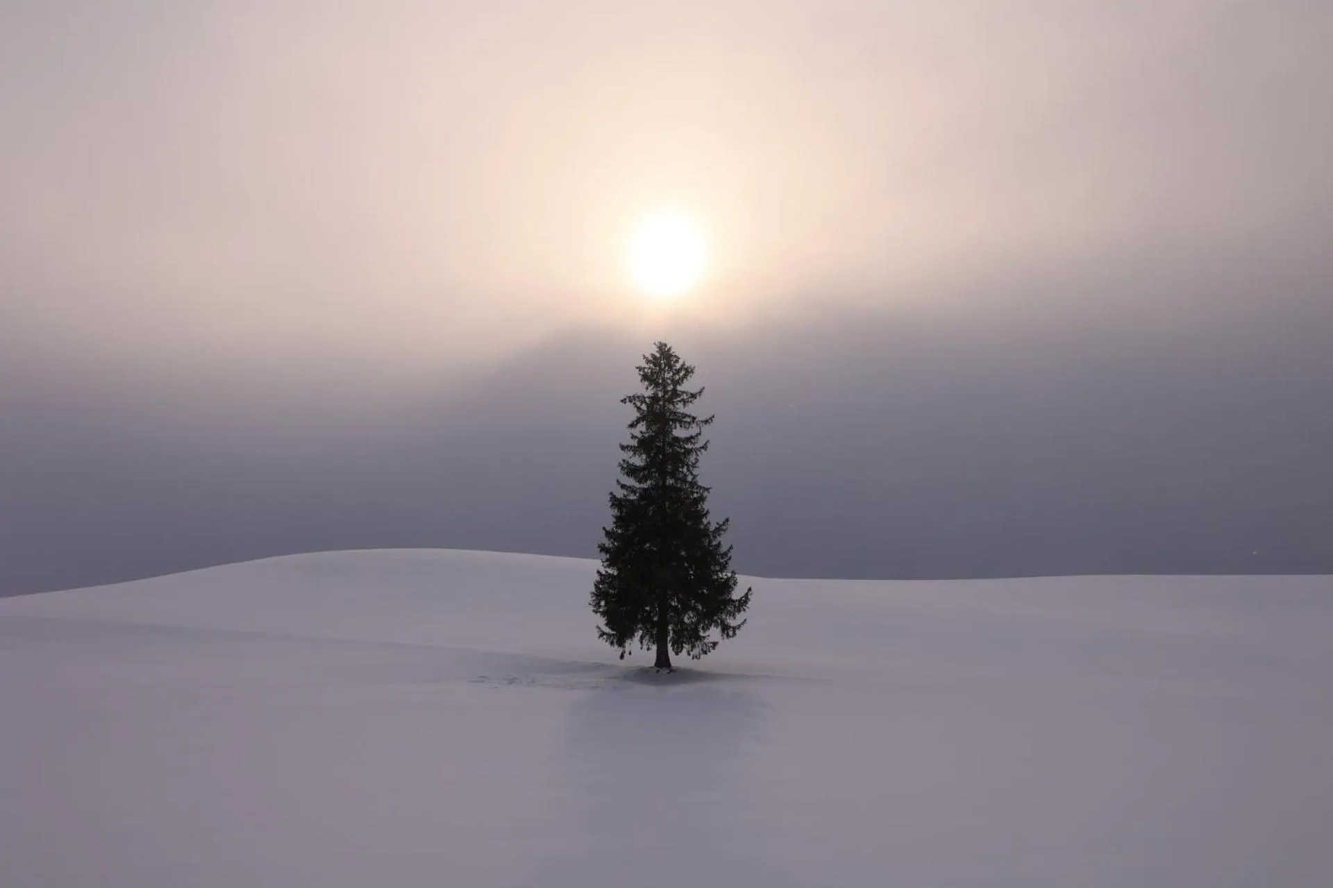 Winter in Hotel Edel Warme