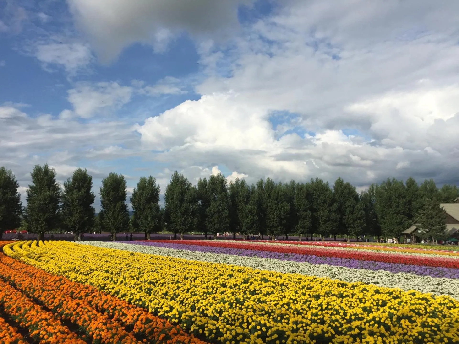 Nearby landmark in Hotel Edel Warme