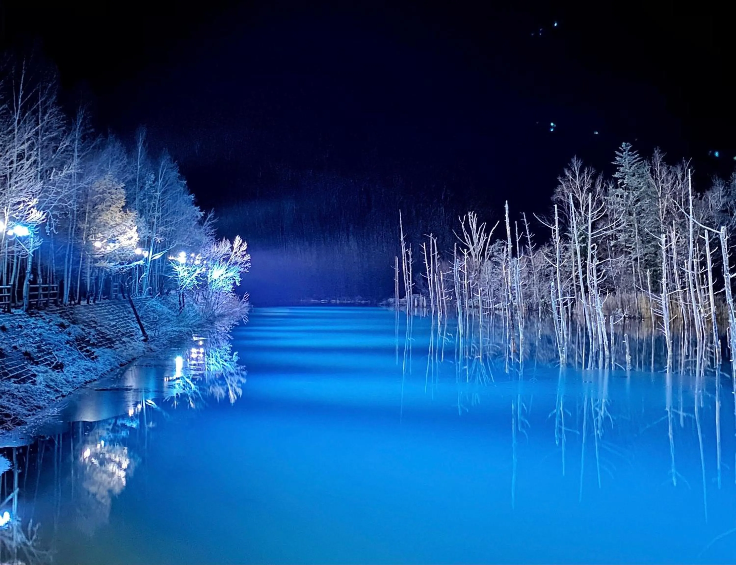 Natural landscape in Hotel Edel Warme