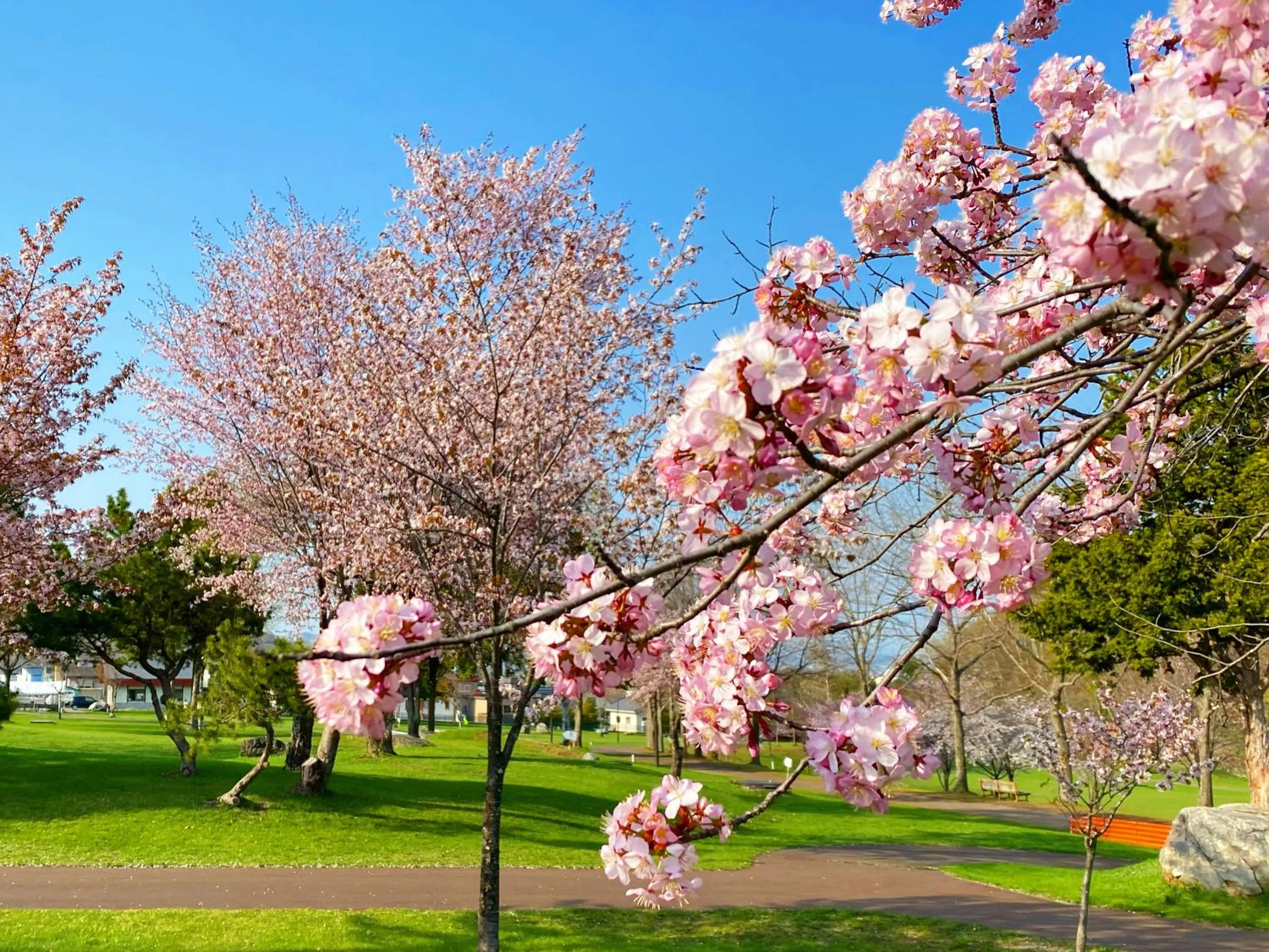 Property building in Hotel Edel Warme