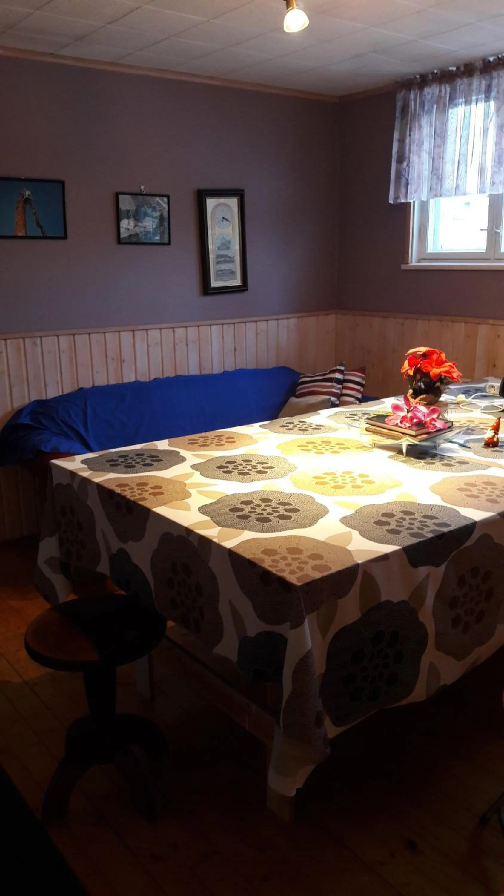 meijeriranta majoitus