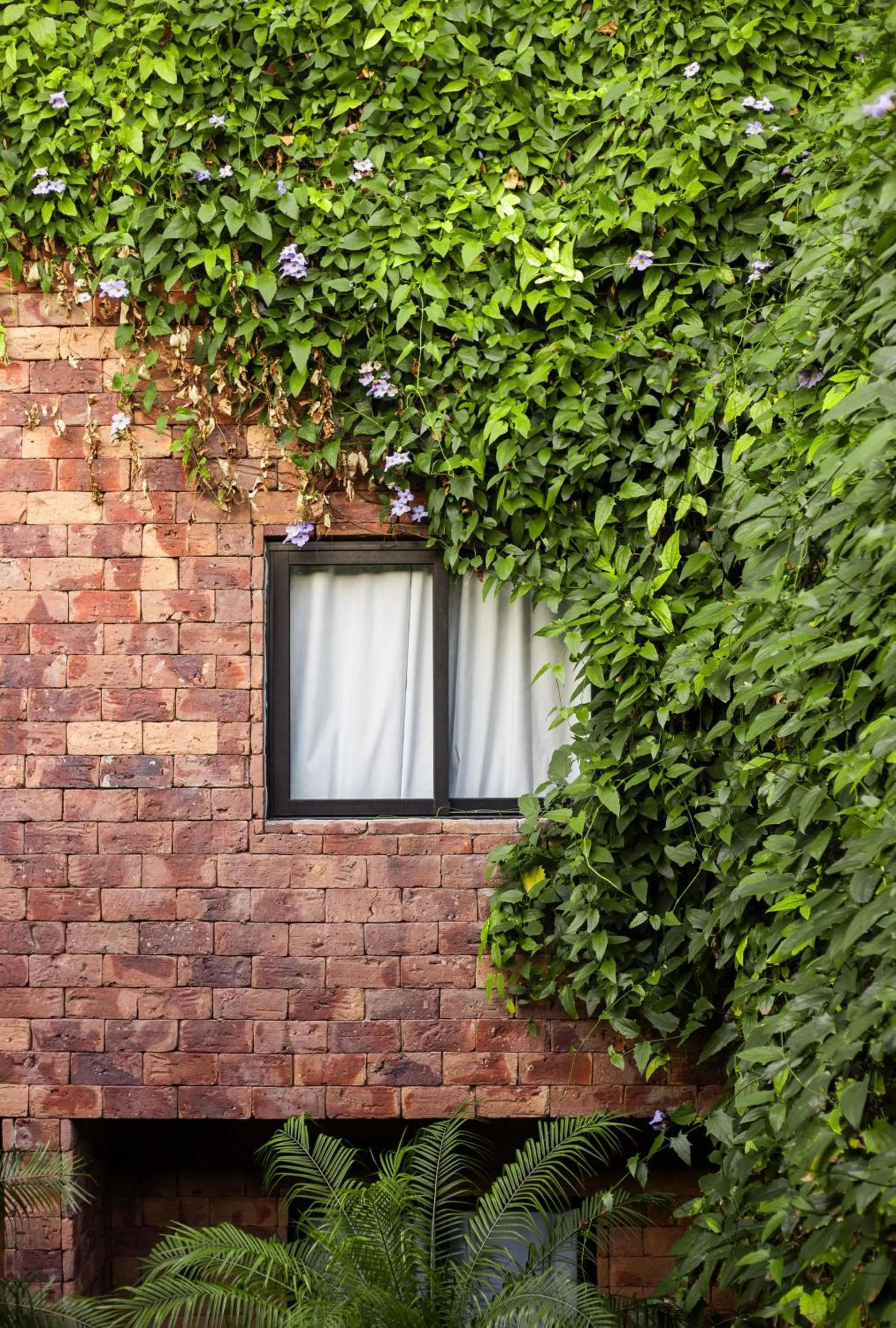 Spring in Pauli Boutique Hotel