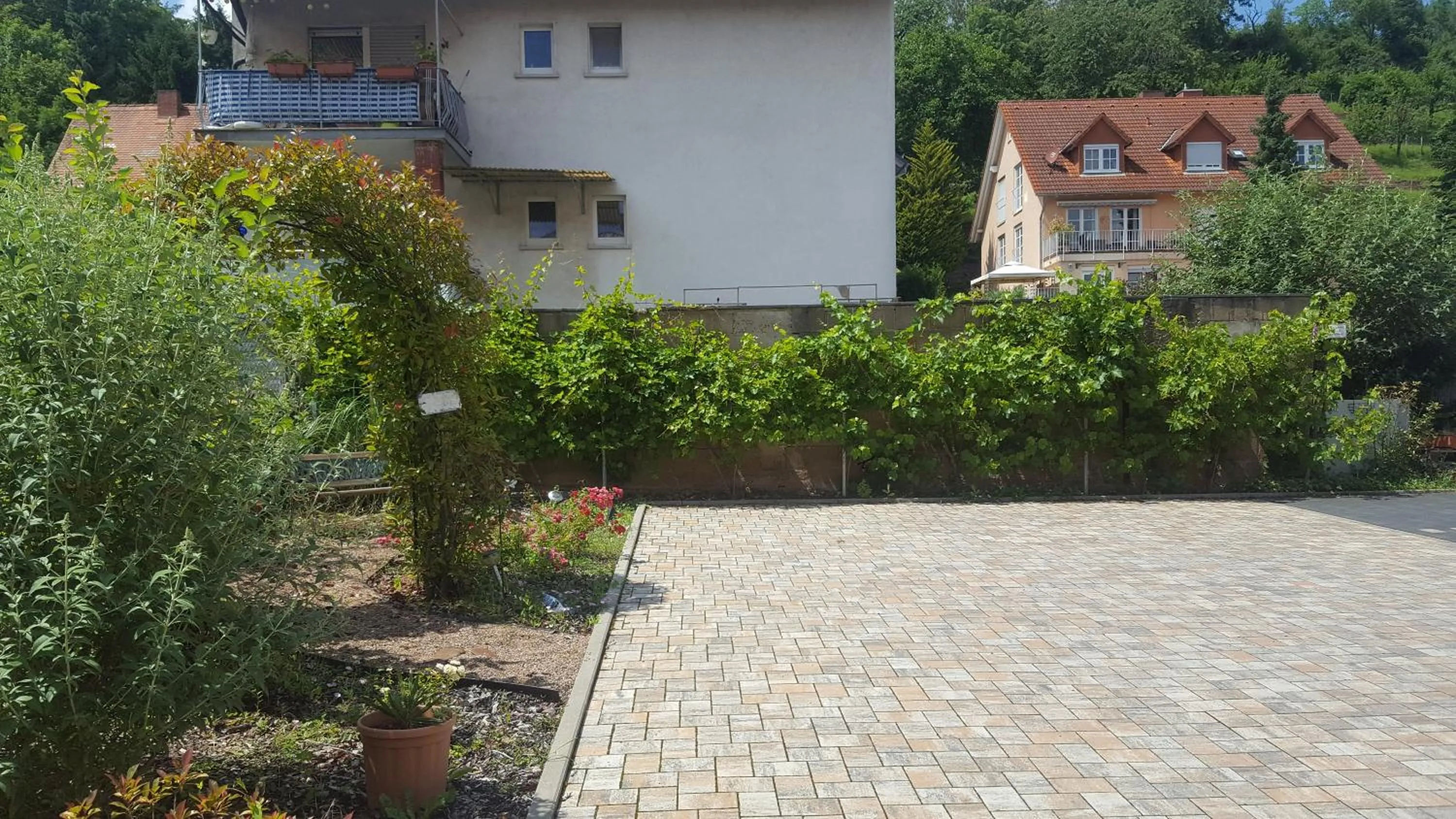 Garden in Villa Renatus
