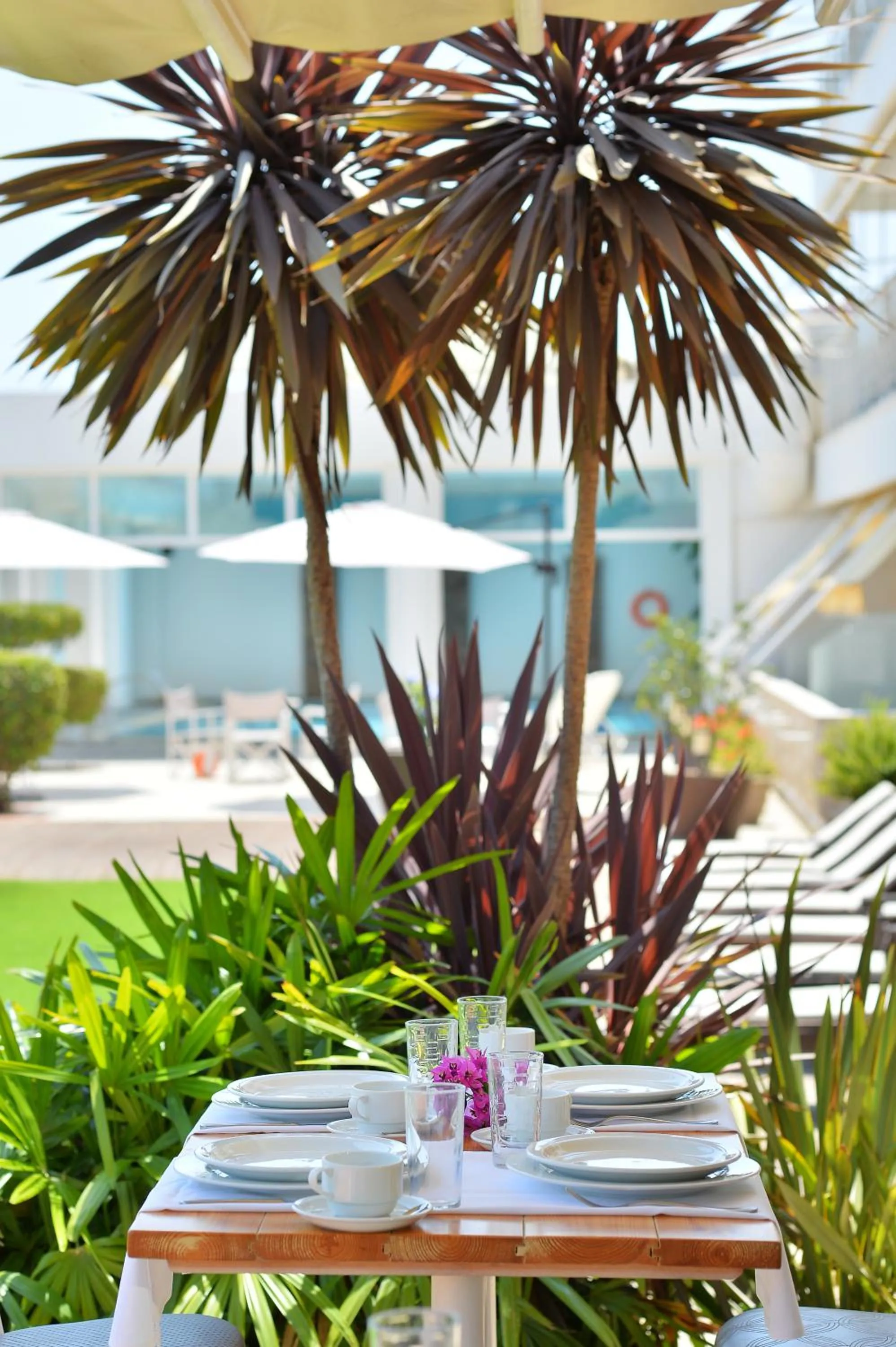 Garden in Hotel Kalloni