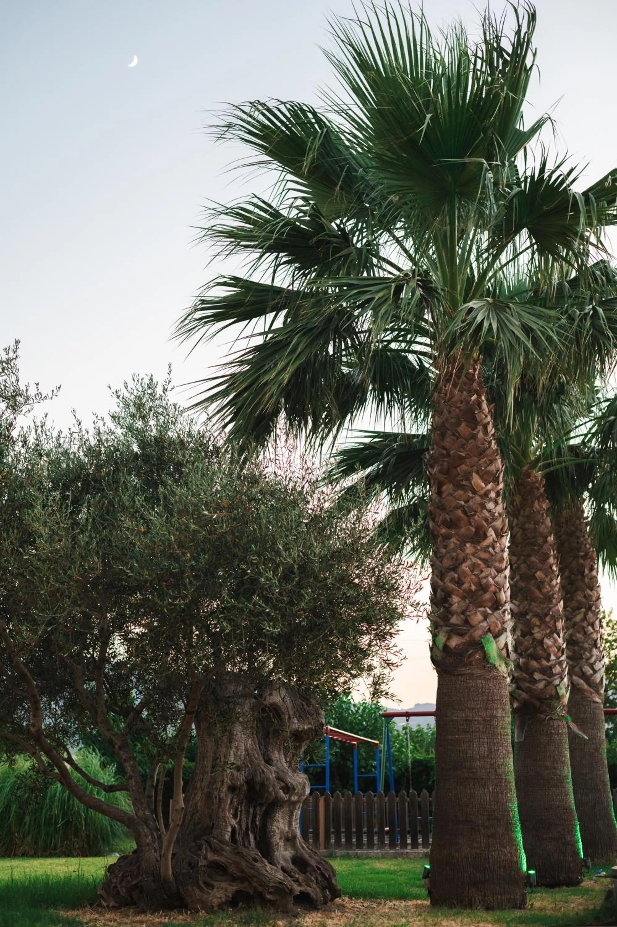 Night in Village Inn Studios & Family Apartments